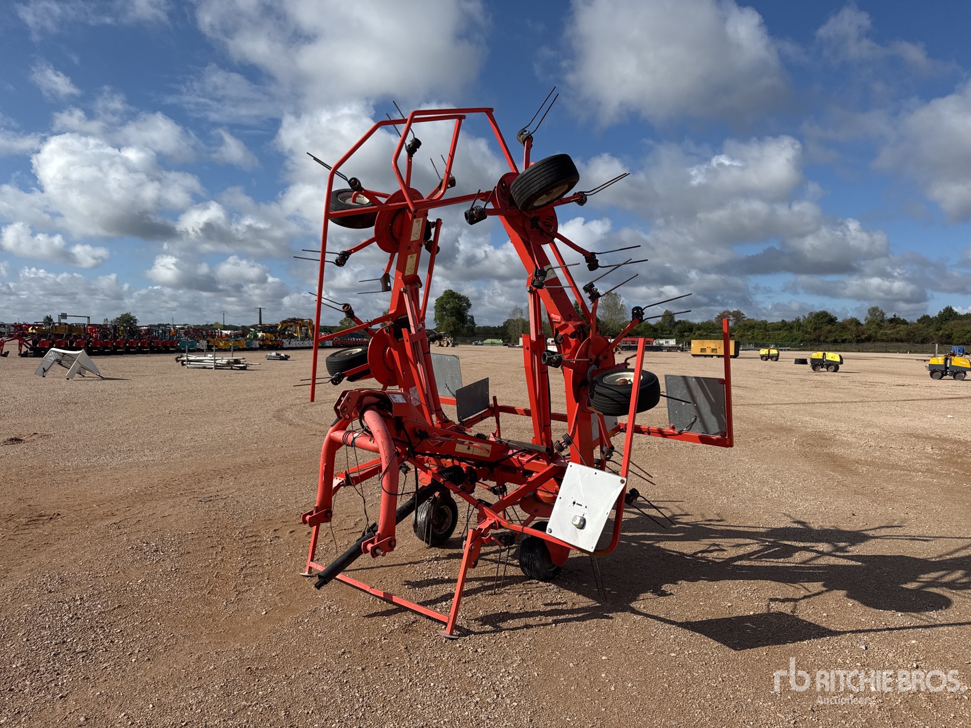 General Appearance with 