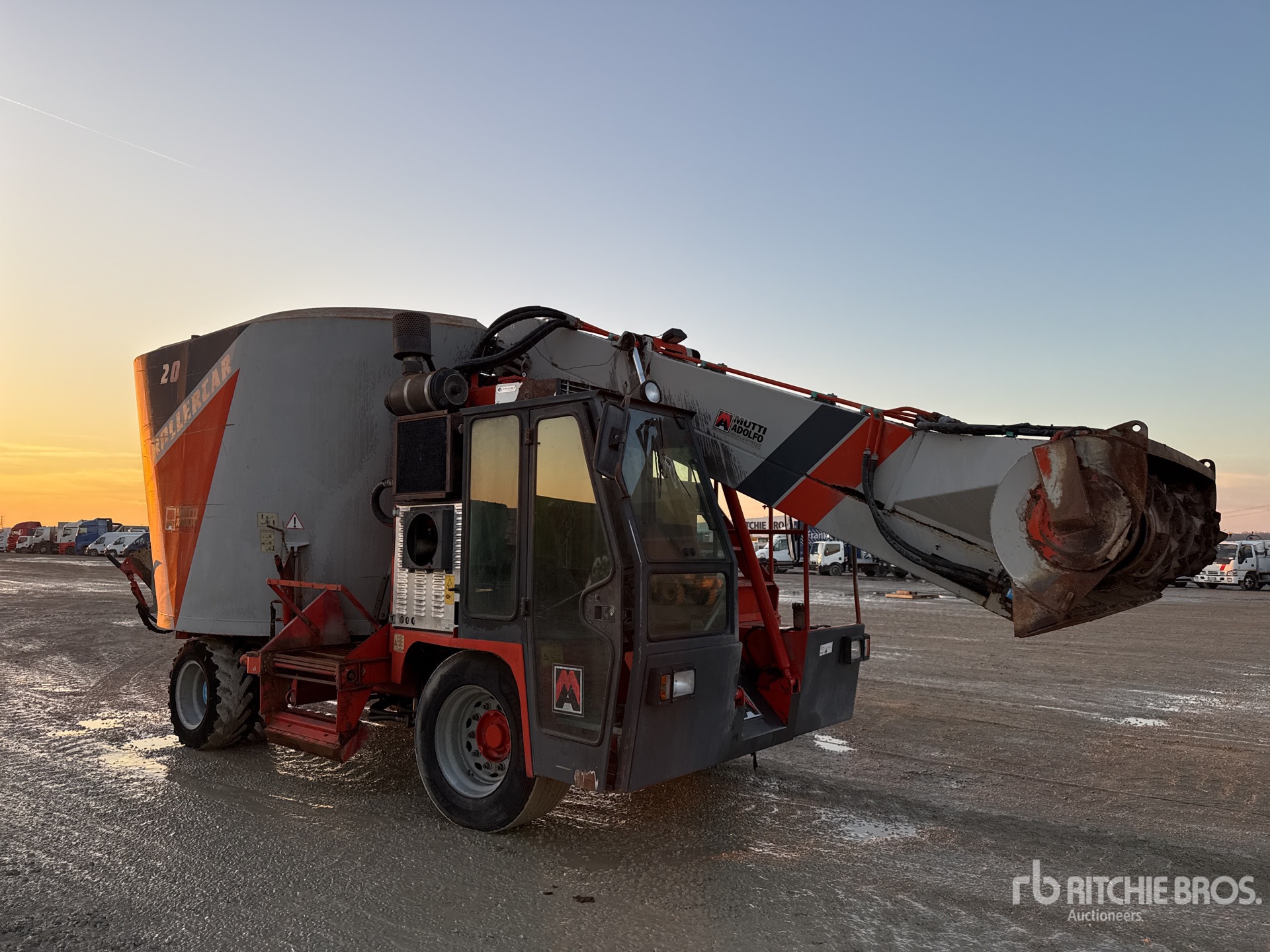 General Appearance with 