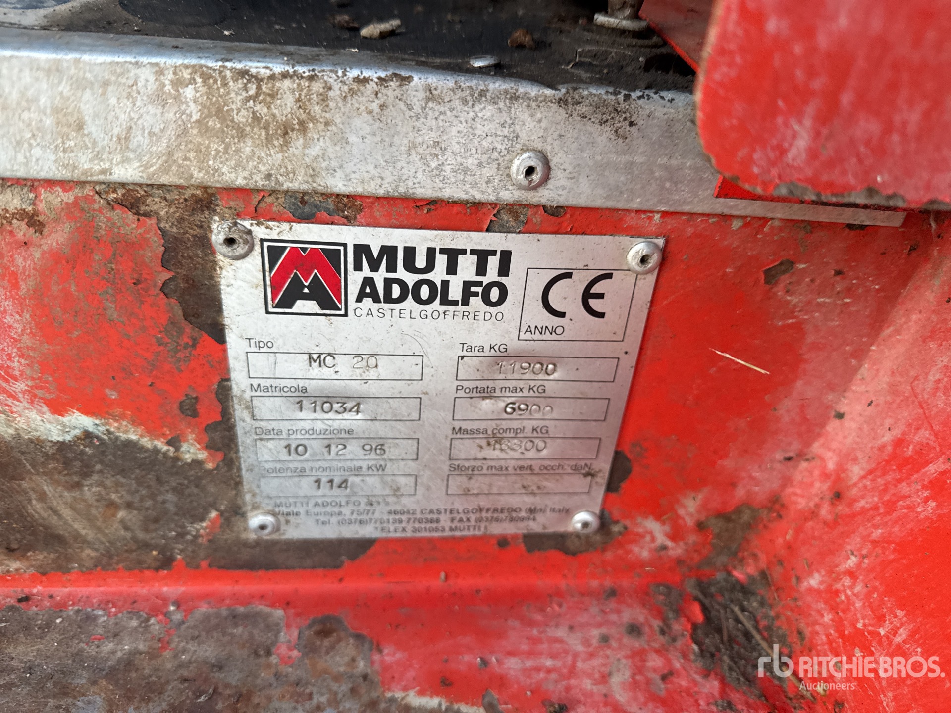 General Appearance with 