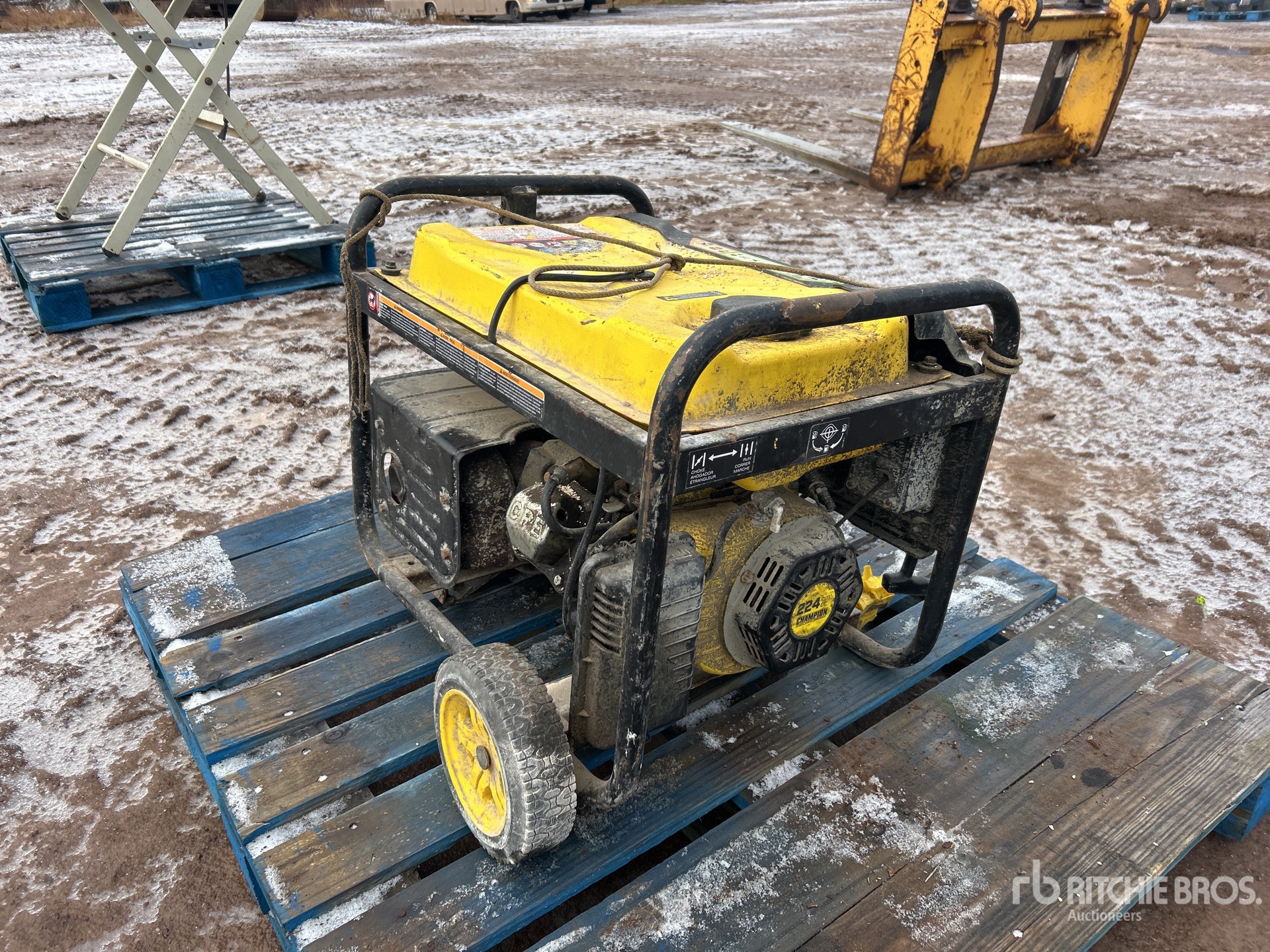 General Appearance with 