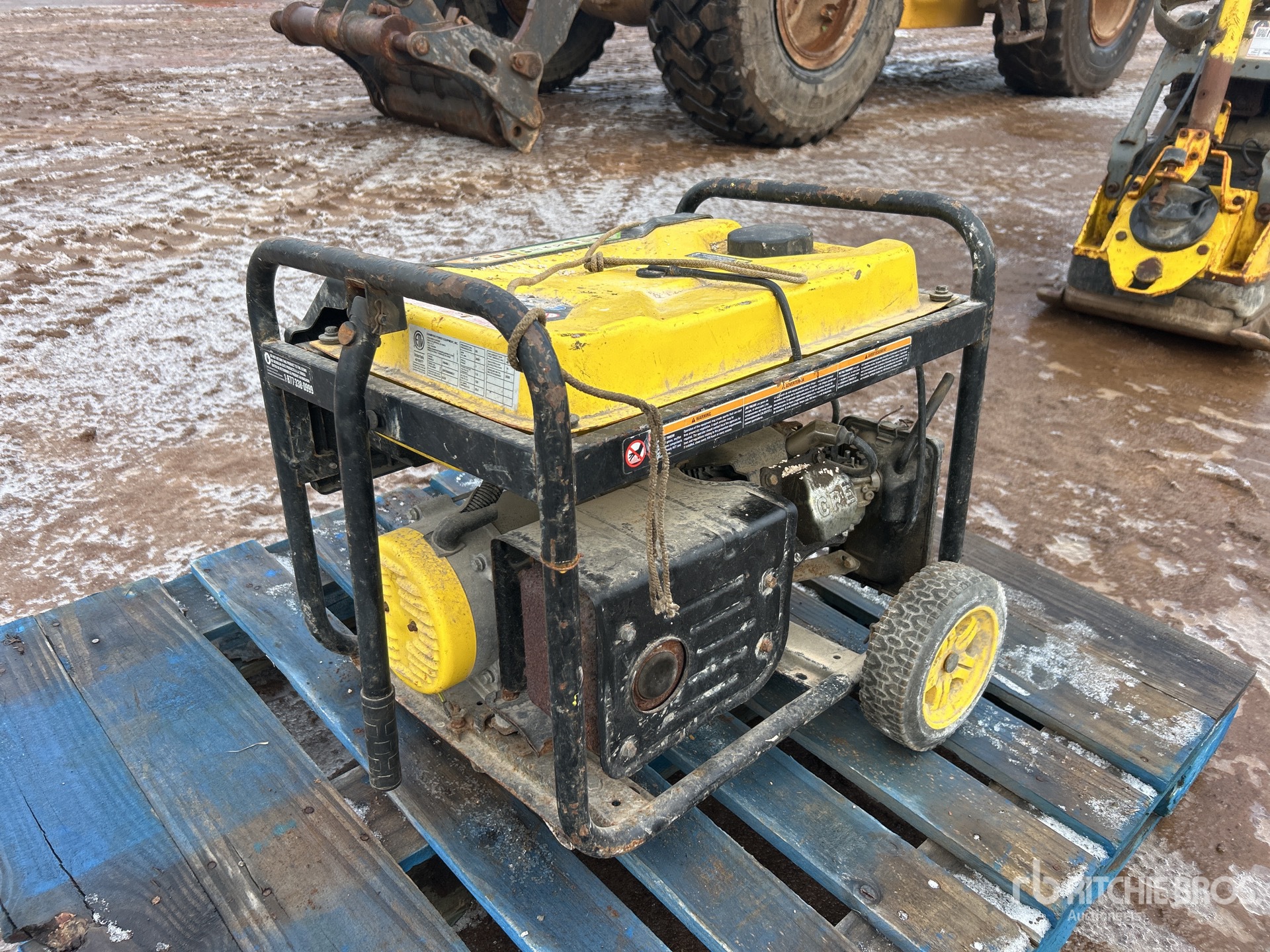 General Appearance with 