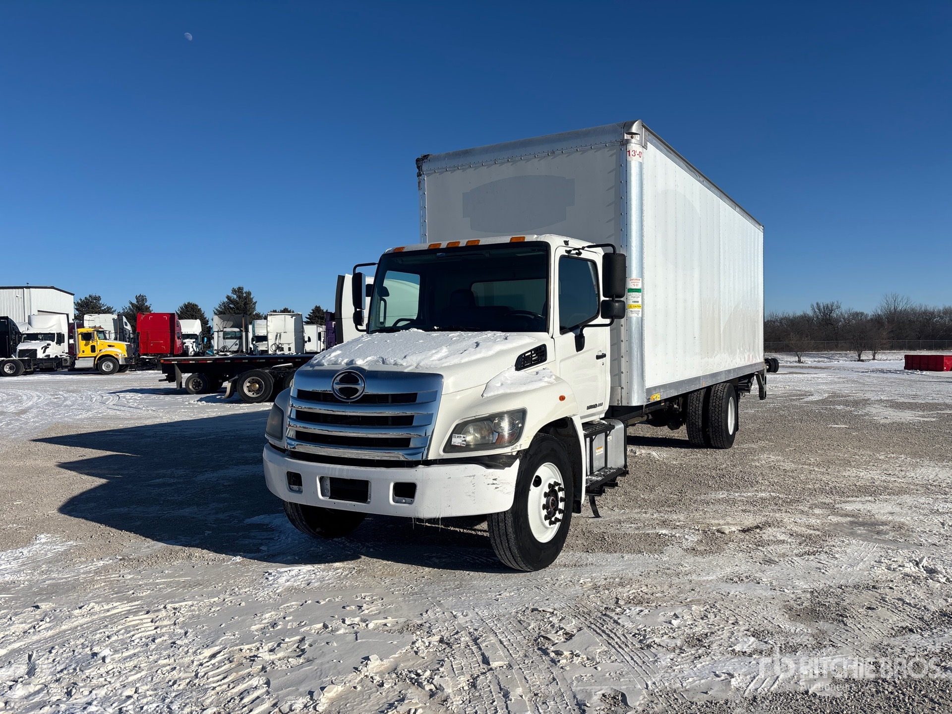 General Appearance with Spin