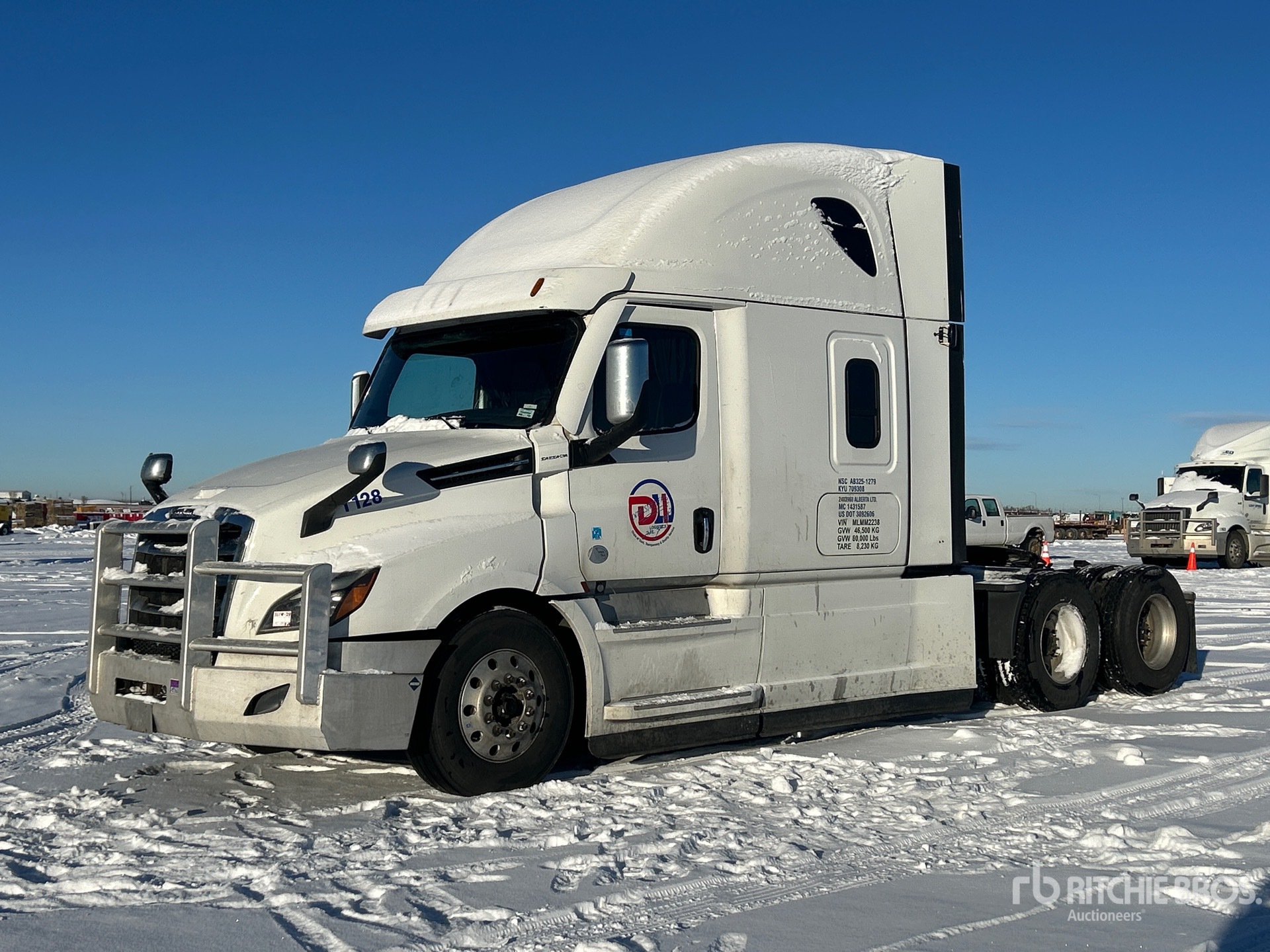 General Appearance with Spin