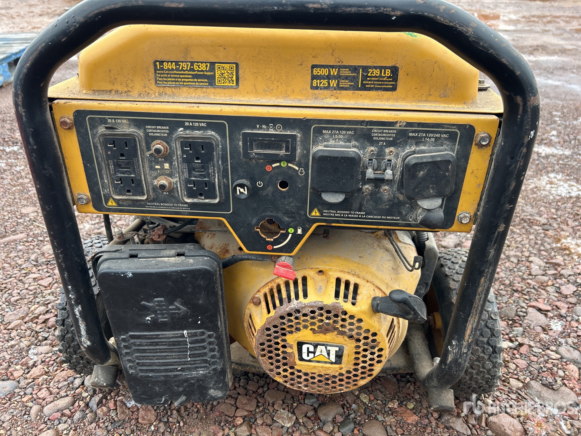 General Appearance with 