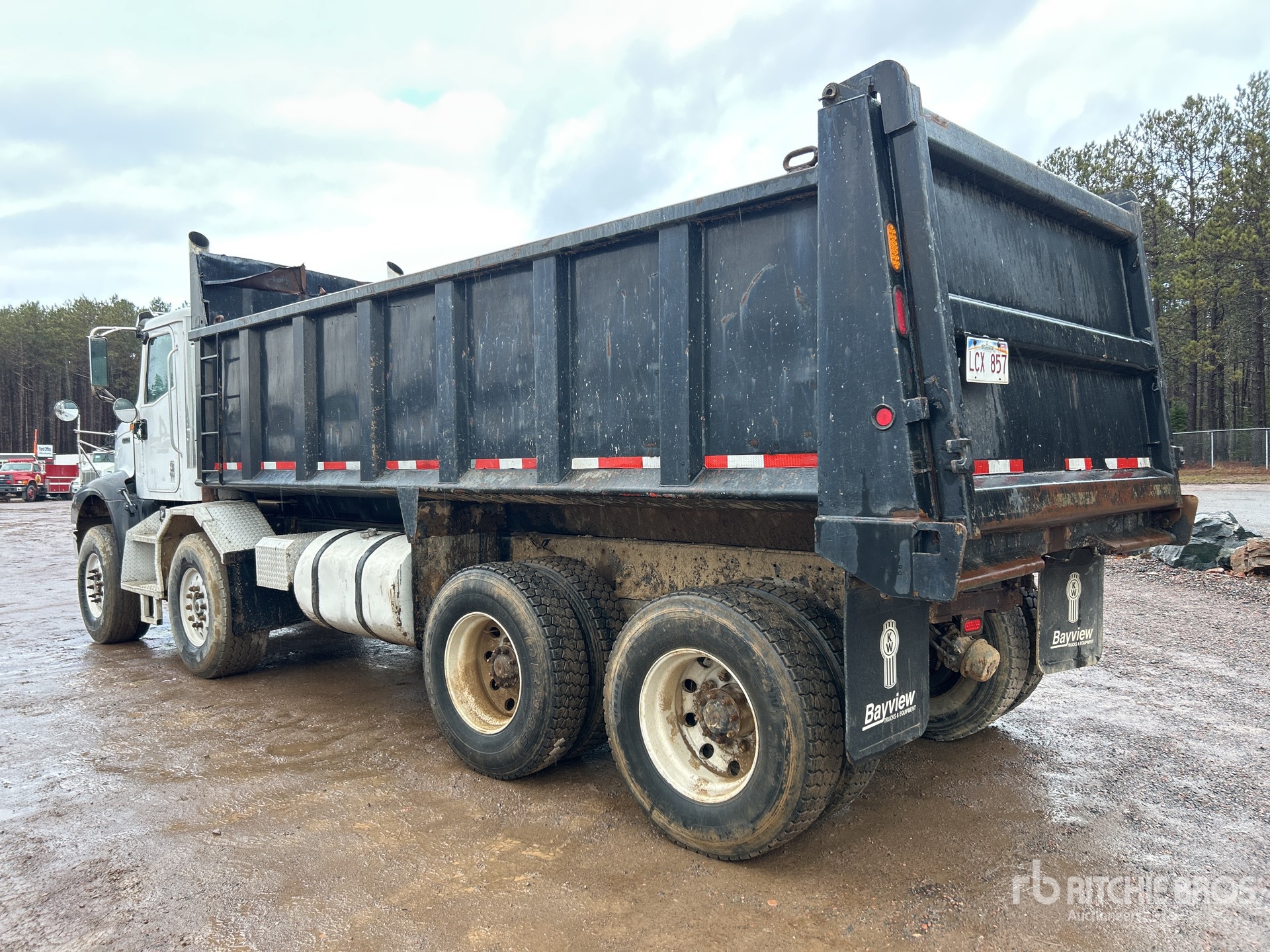 General Appearance with Zdjęcie, lewy dolny róg