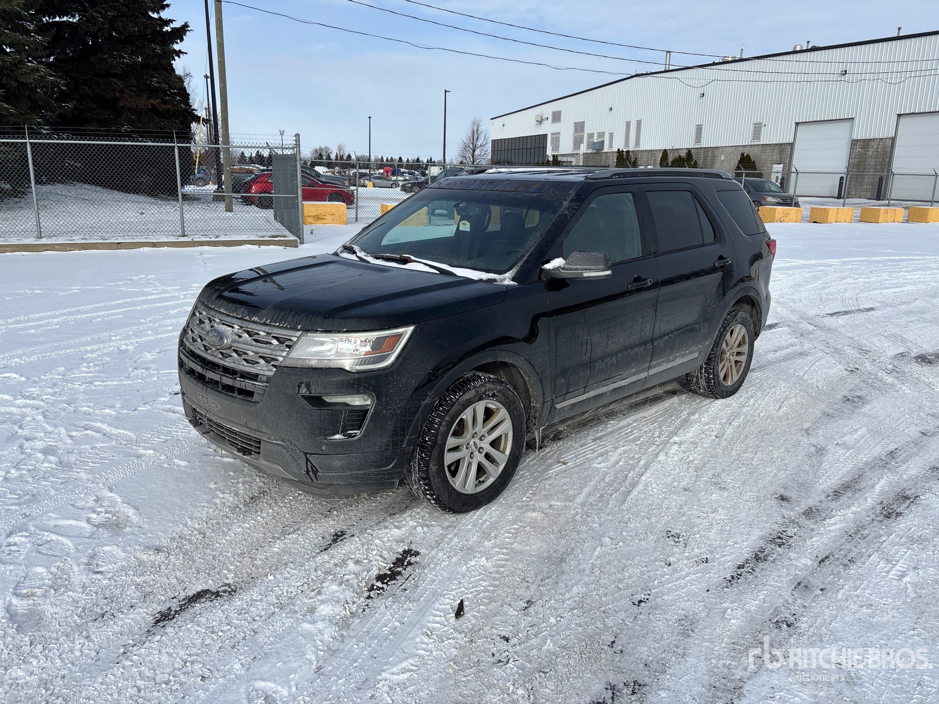 General Appearance with Spin