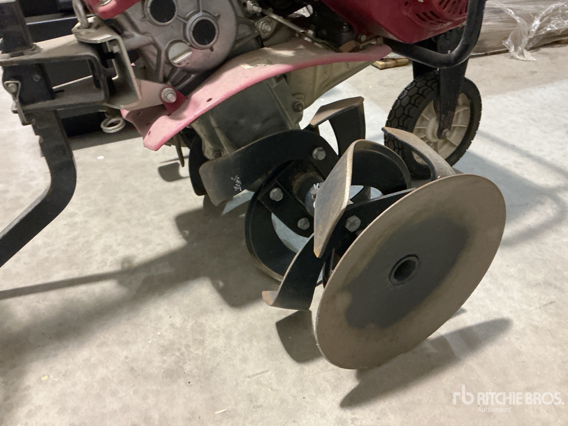 General Appearance with 