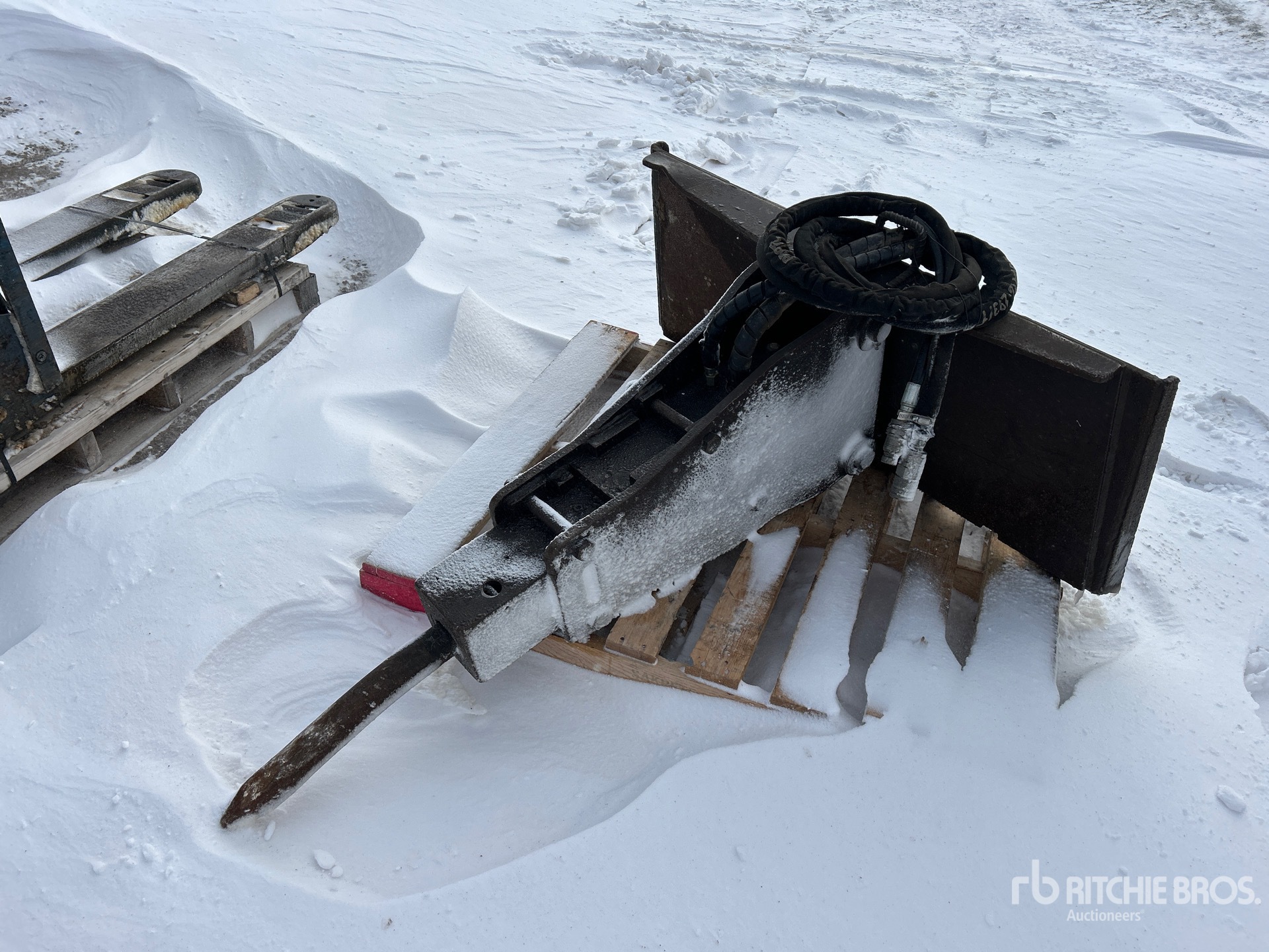 General Appearance with Foto, angolo anteriore sinistro