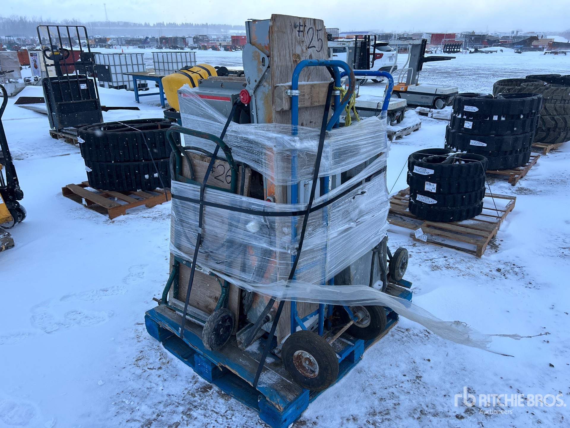 General Appearance with Zdjęcie, lewy dolny róg