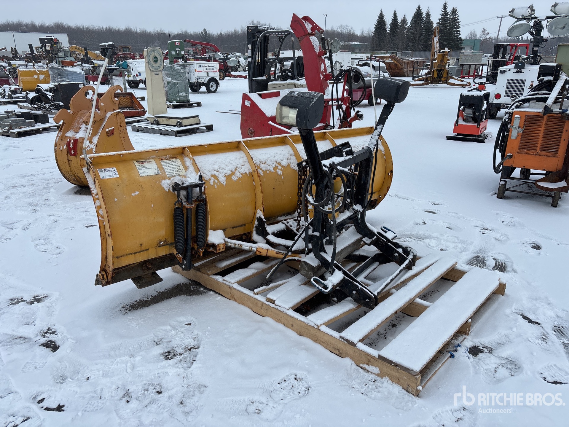 General Appearance with Bild, Ecke hinten links