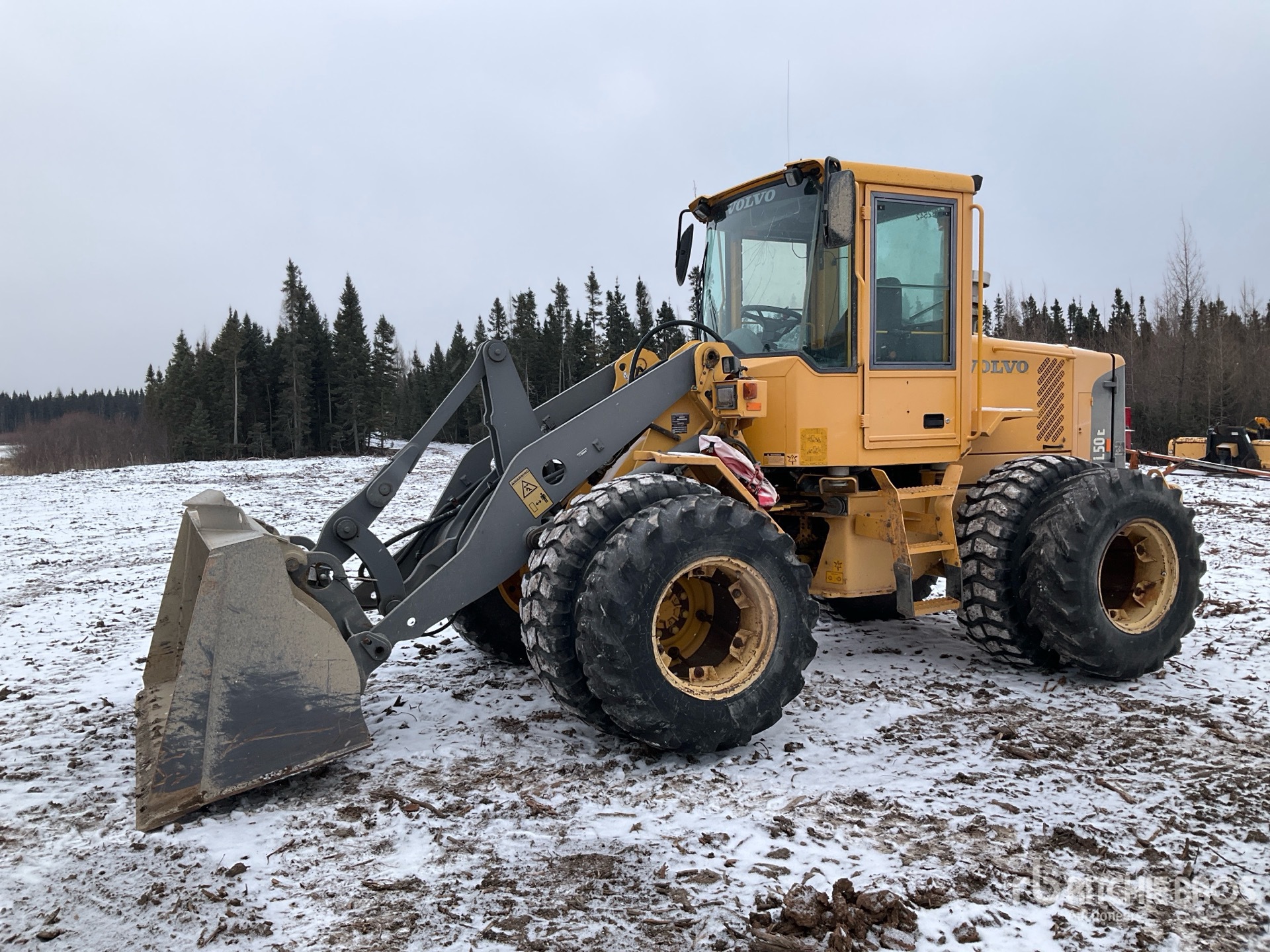 General Appearance with Image, coin avant gauche