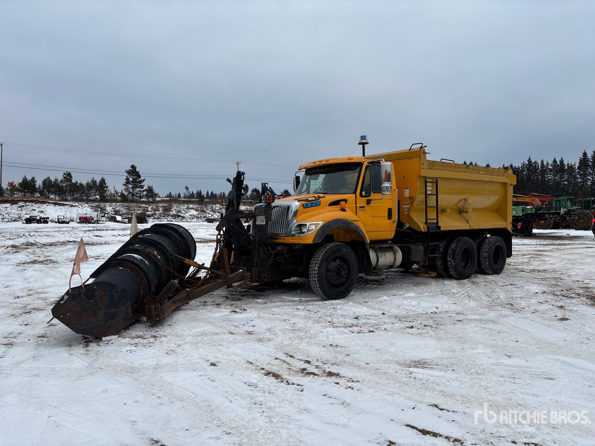 General Appearance with Spin