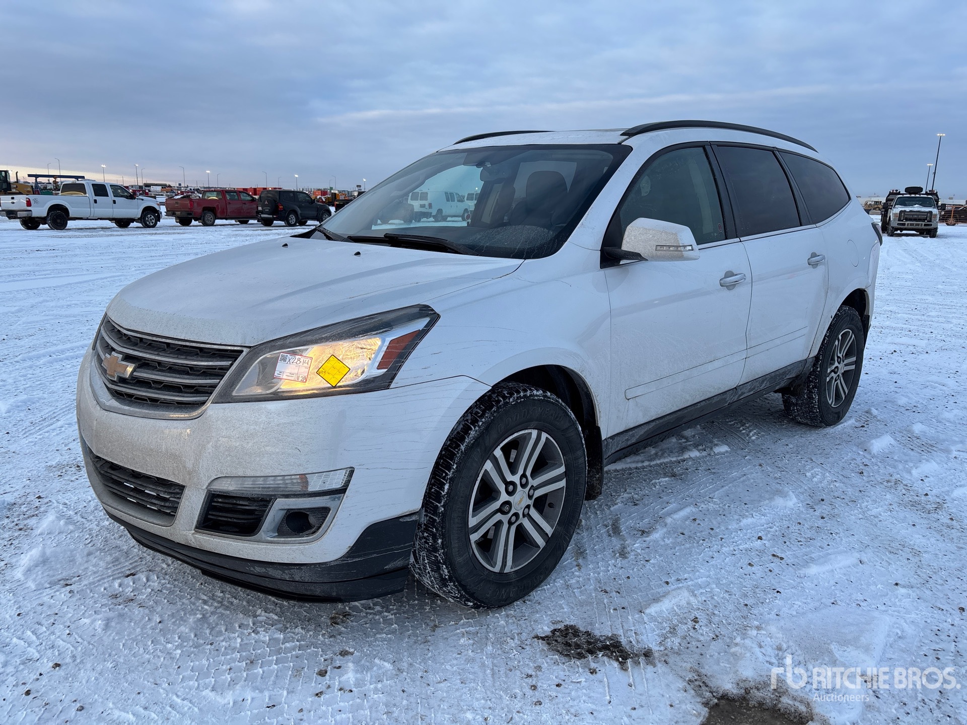 General Appearance with Spin