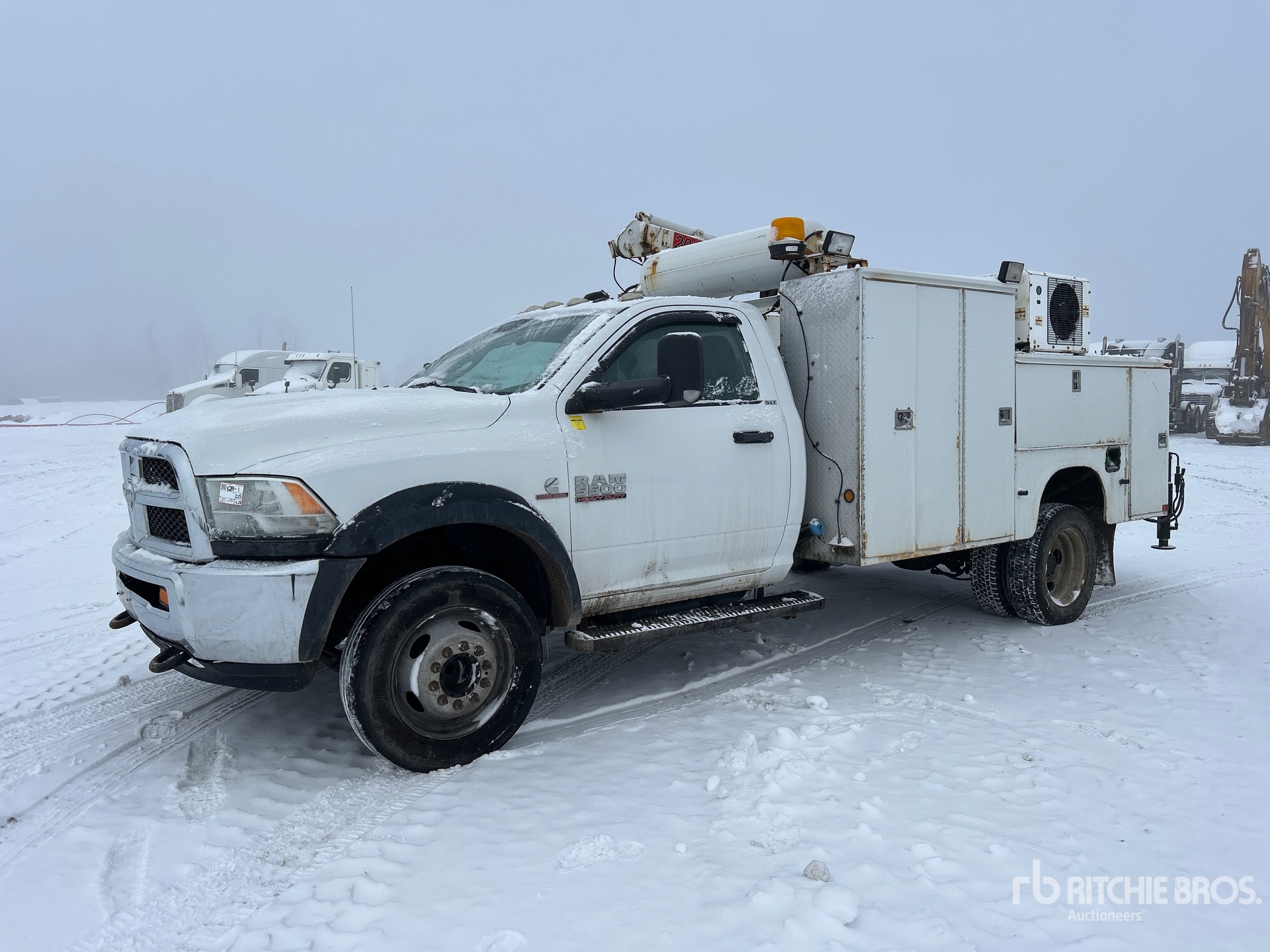 General Appearance with Spin