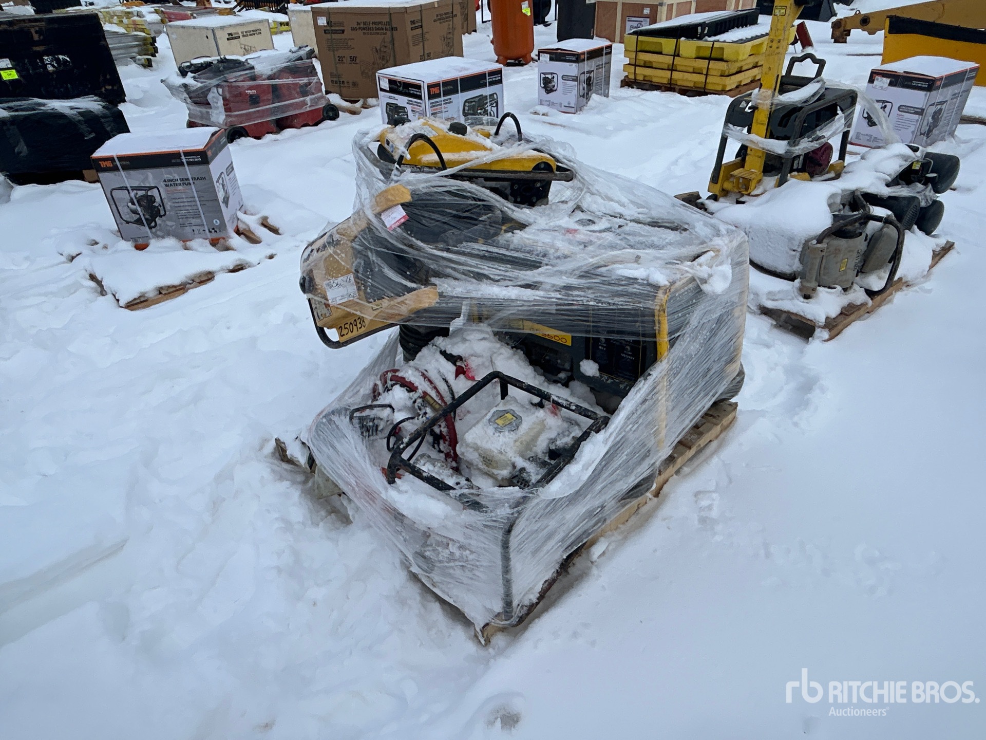 General Appearance with Bild, Ecke vorne links