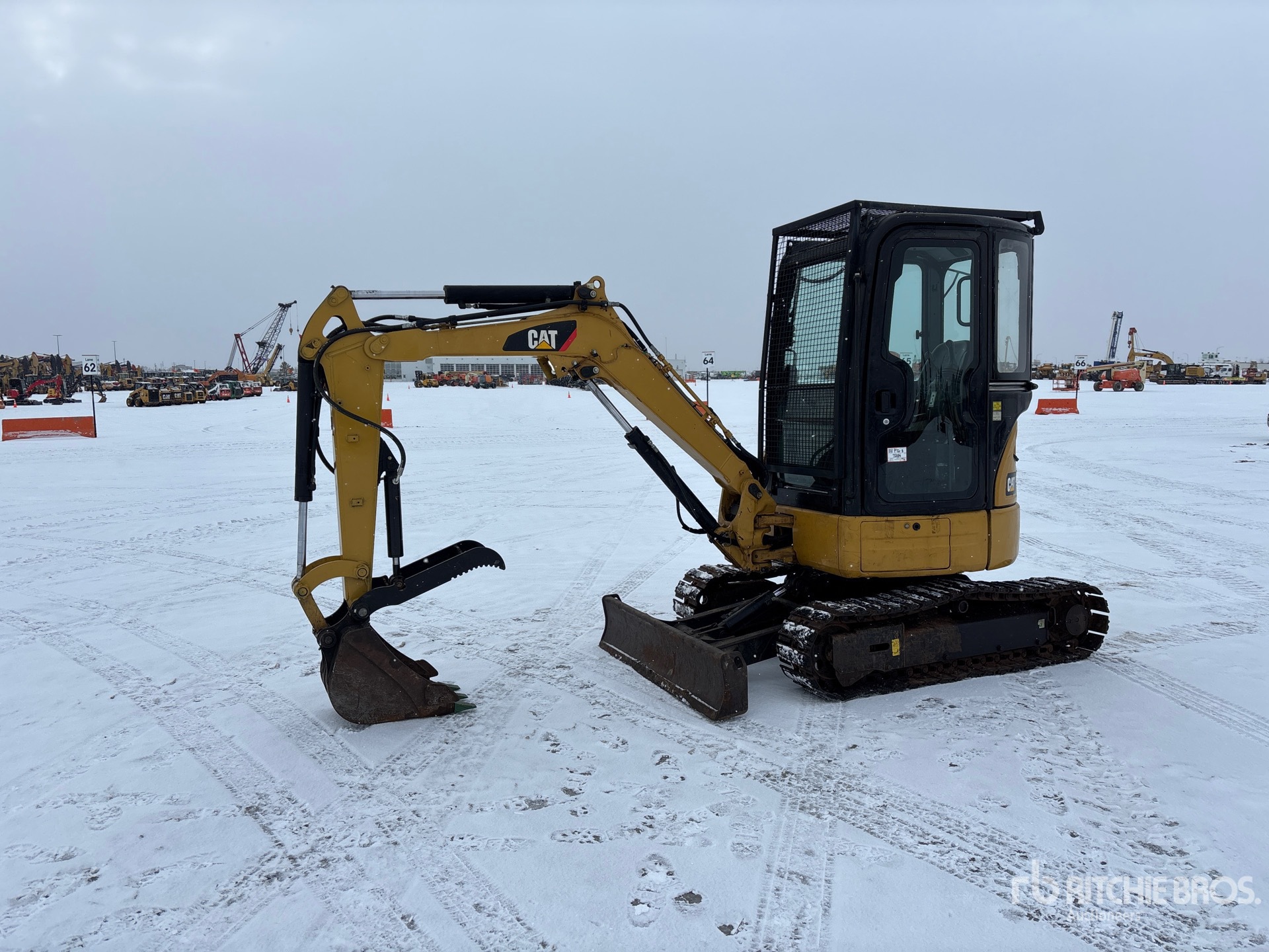 General Appearance with Spin