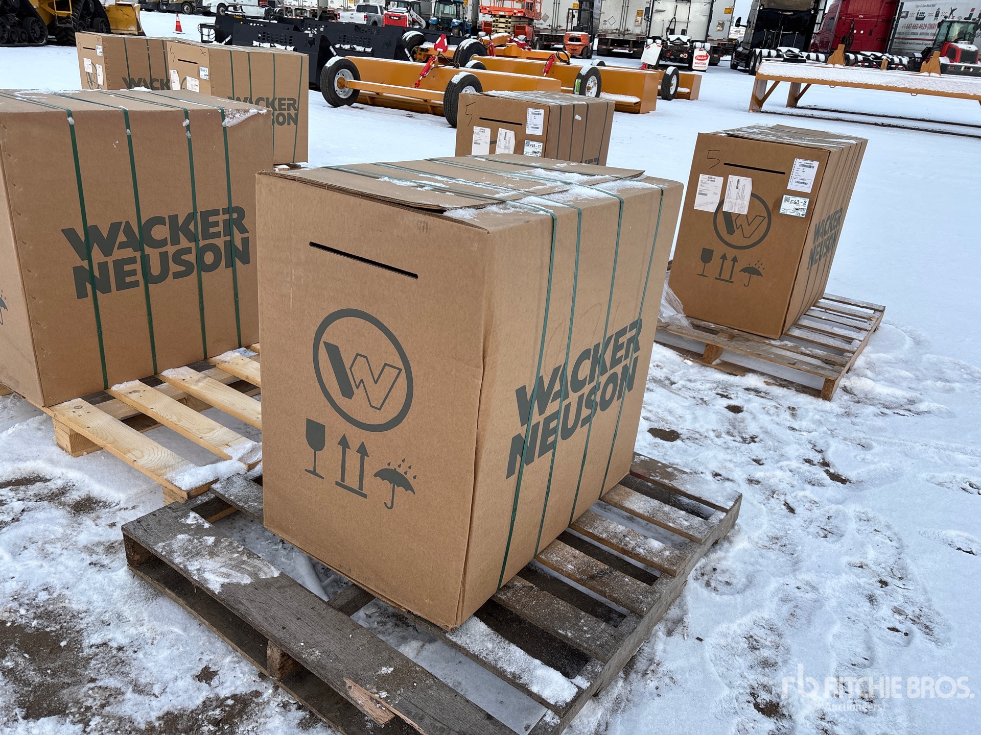 General Appearance with Zdjęcie, prawy dolny róg