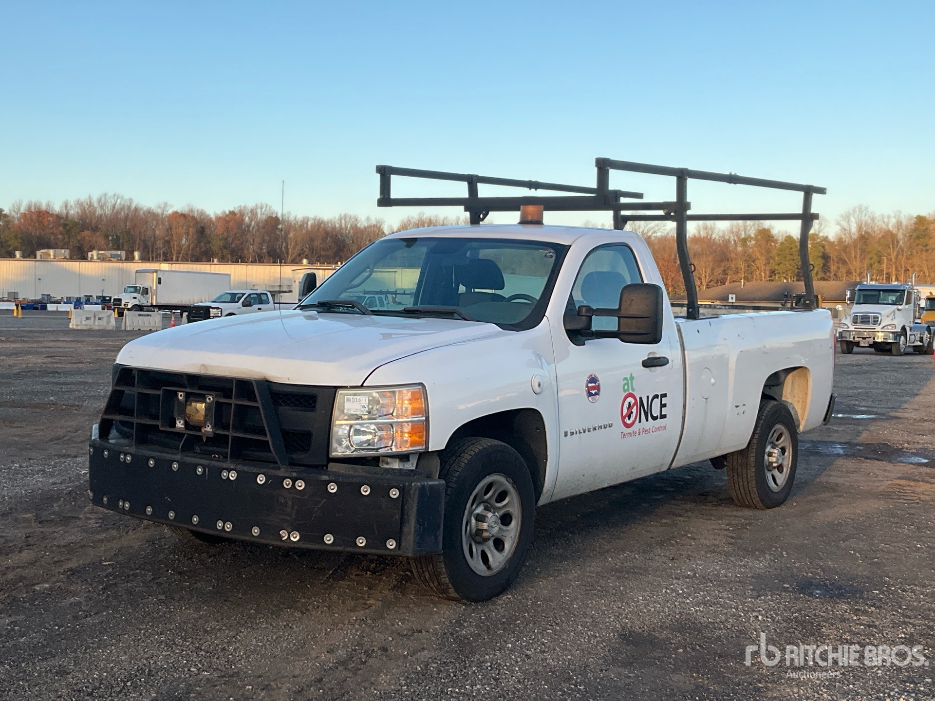 General Appearance with Spin