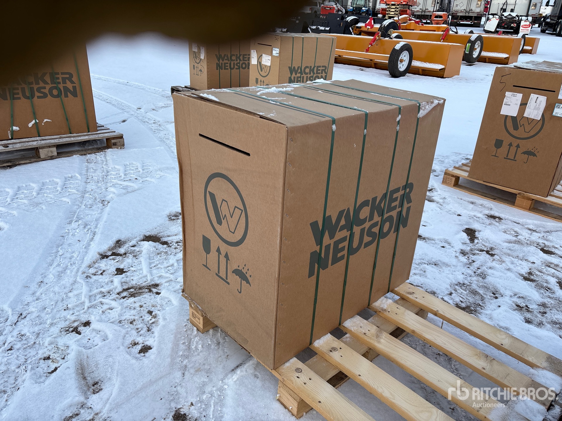 General Appearance with Zdjęcie, prawy dolny róg