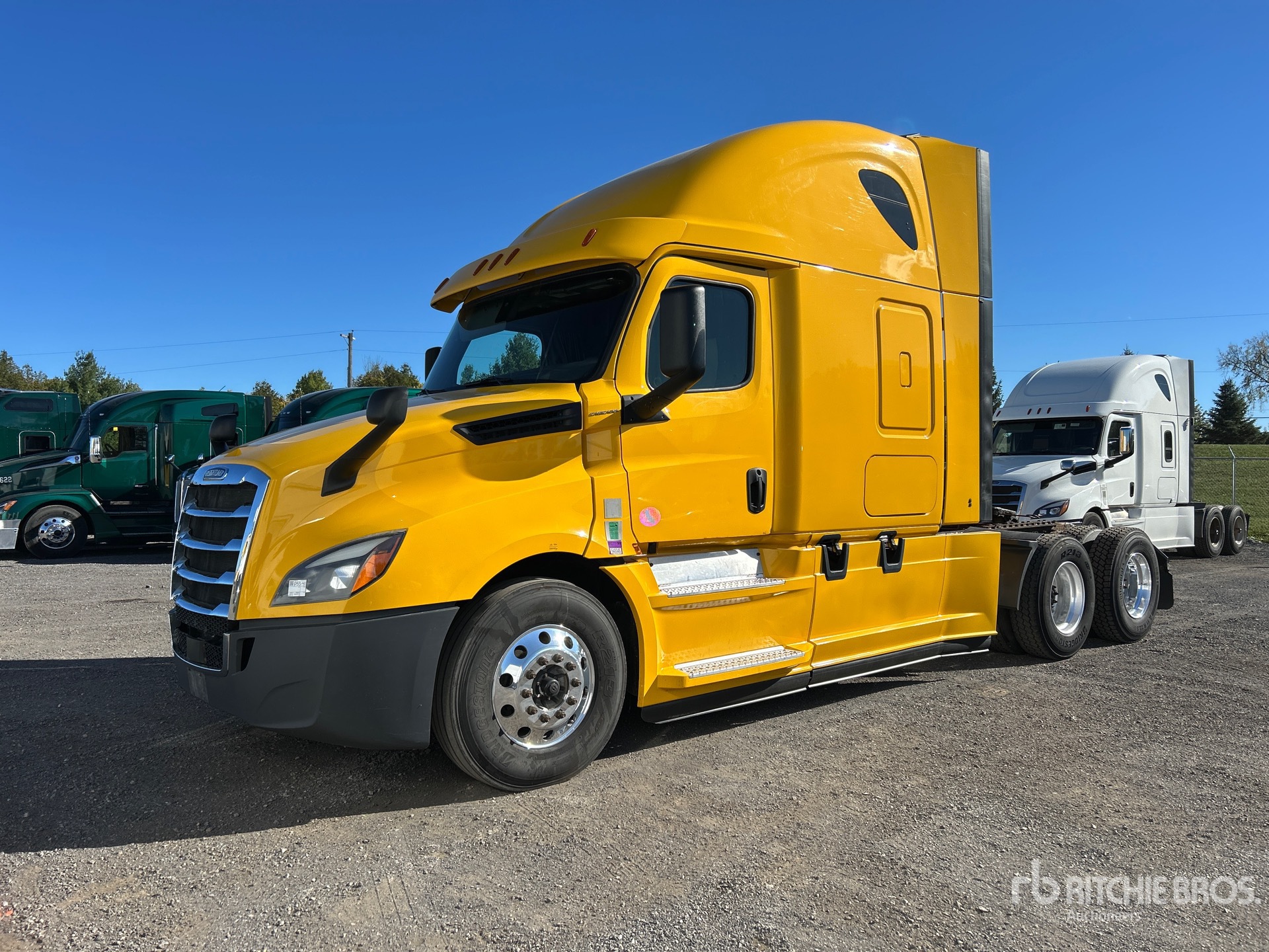 General Appearance with Spin