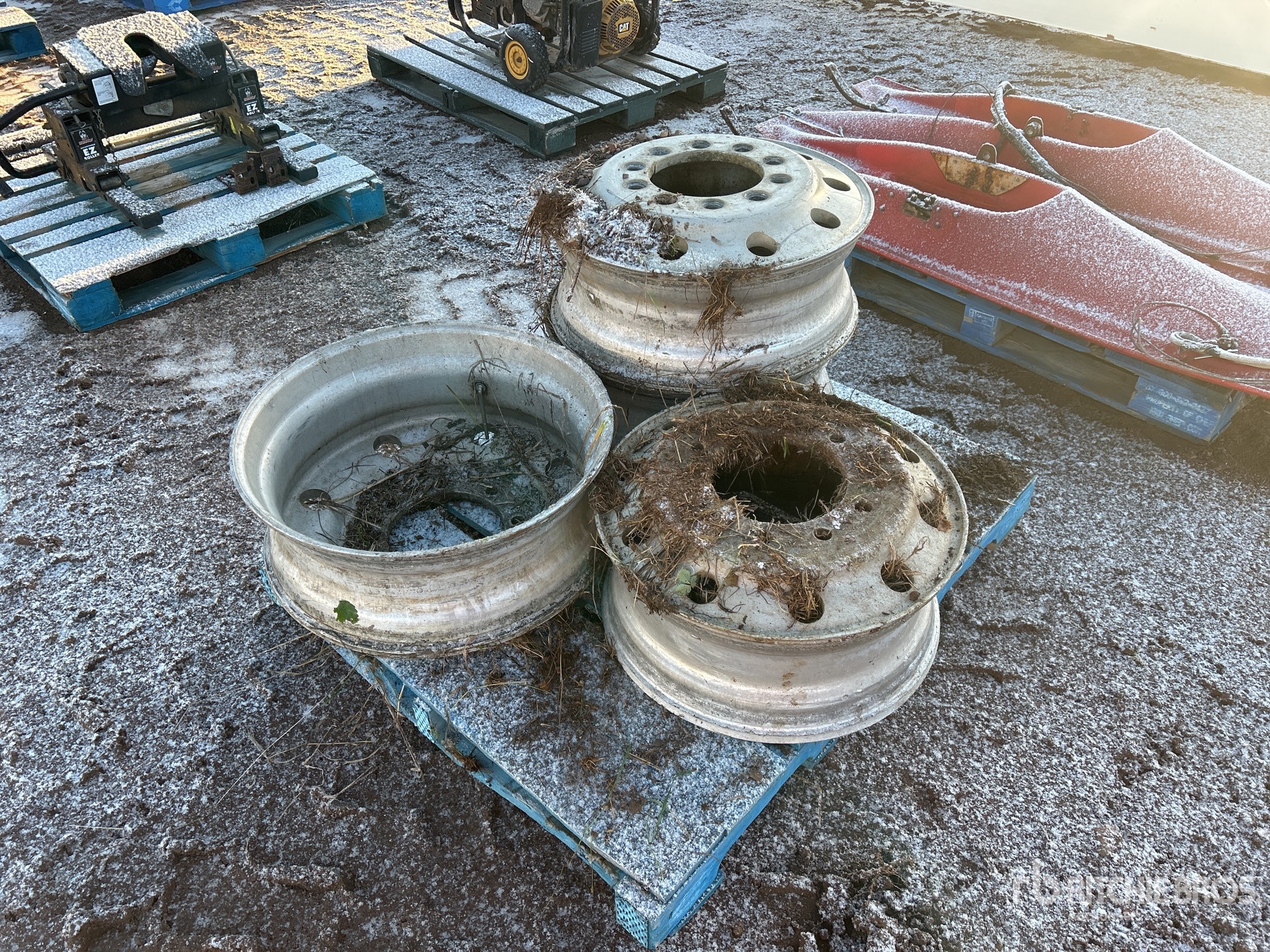 General Appearance with 