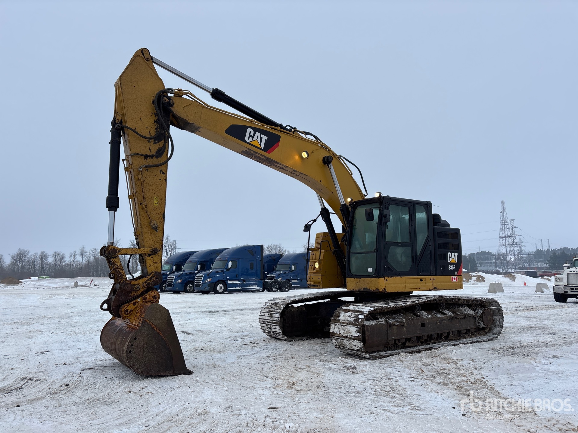 General Appearance with Spin