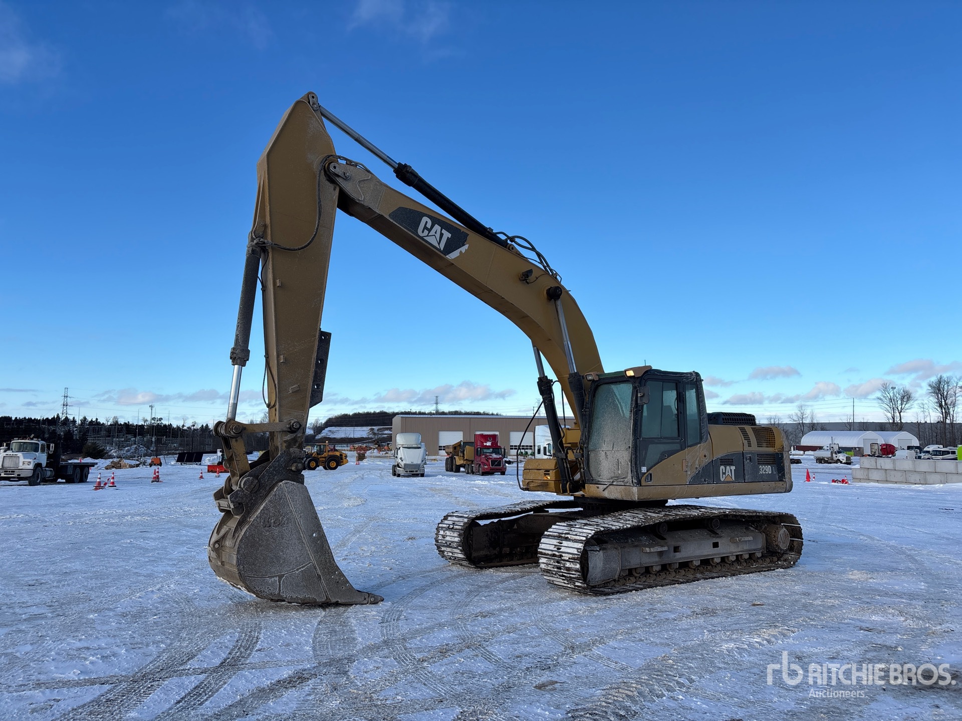 General Appearance with Spin