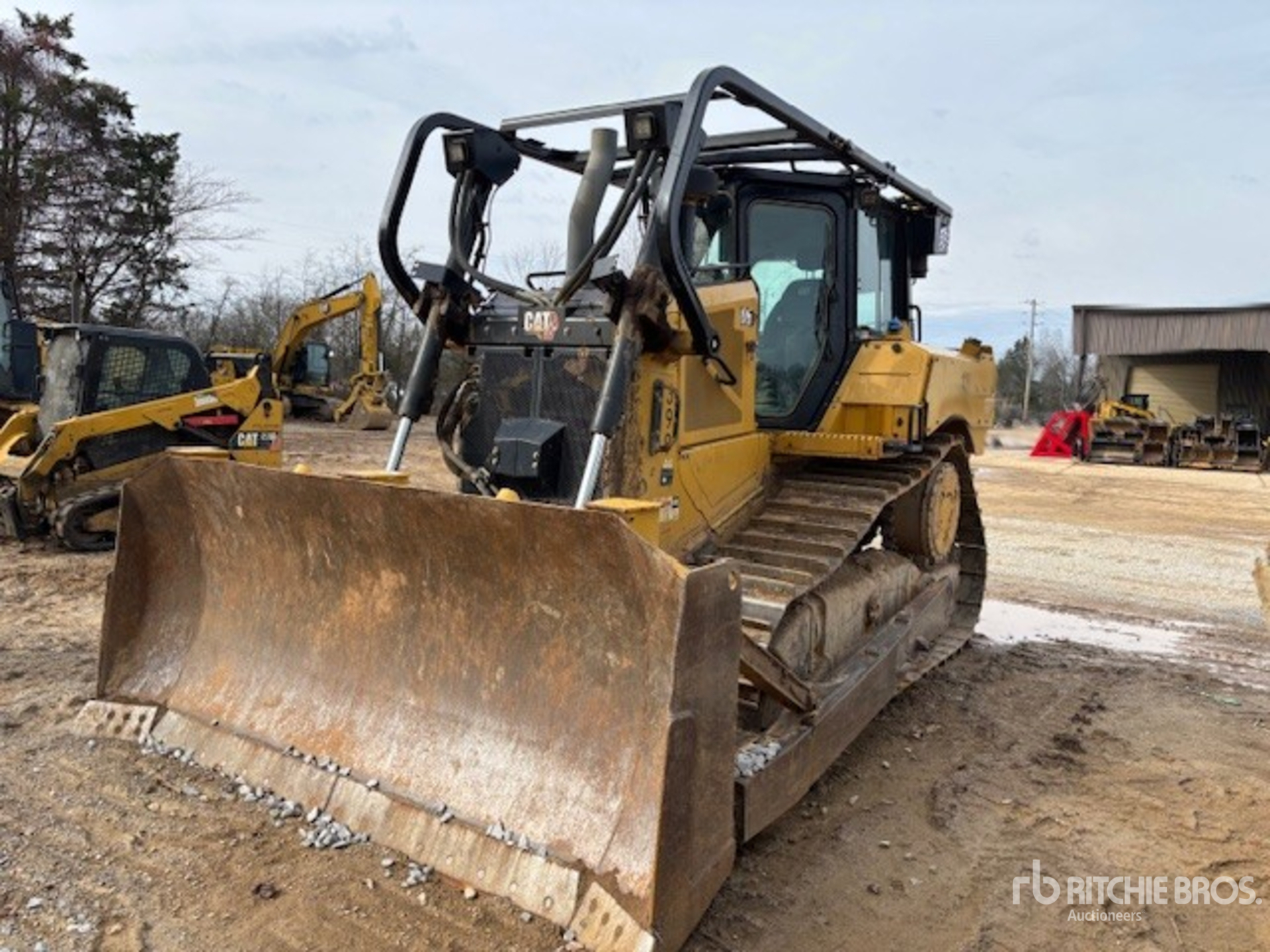 General Appearance with Zdjęcie, lewy górny róg