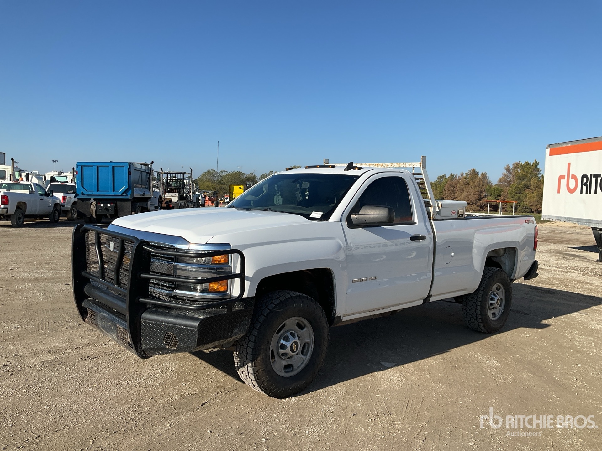 General Appearance with Spin