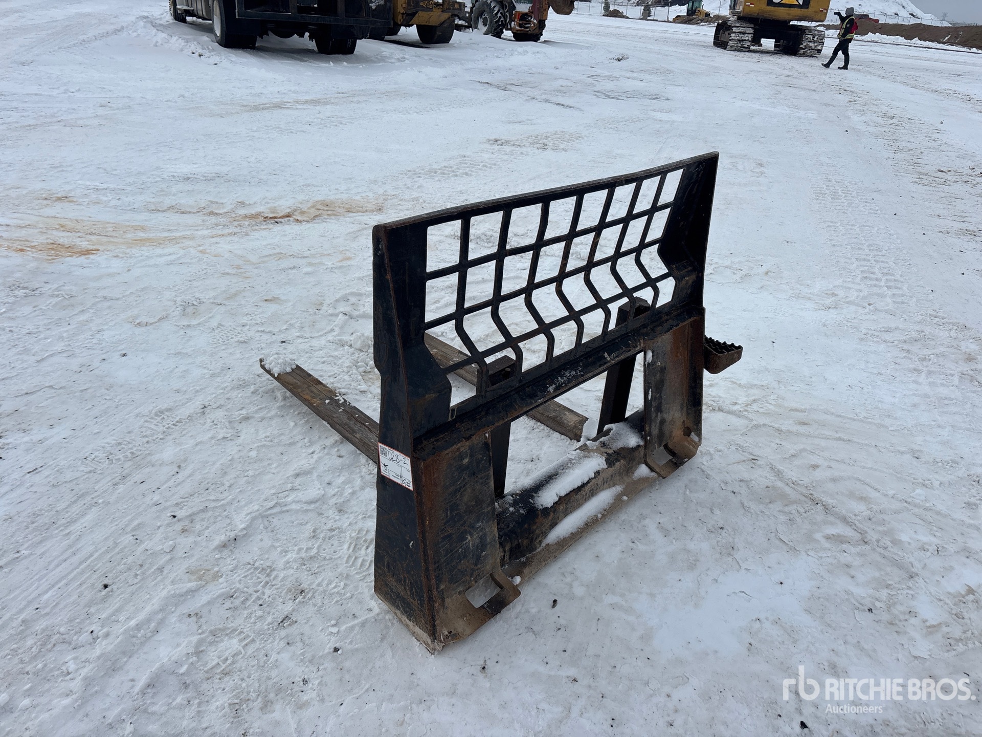 General Appearance with Zdjęcie, lewy dolny róg