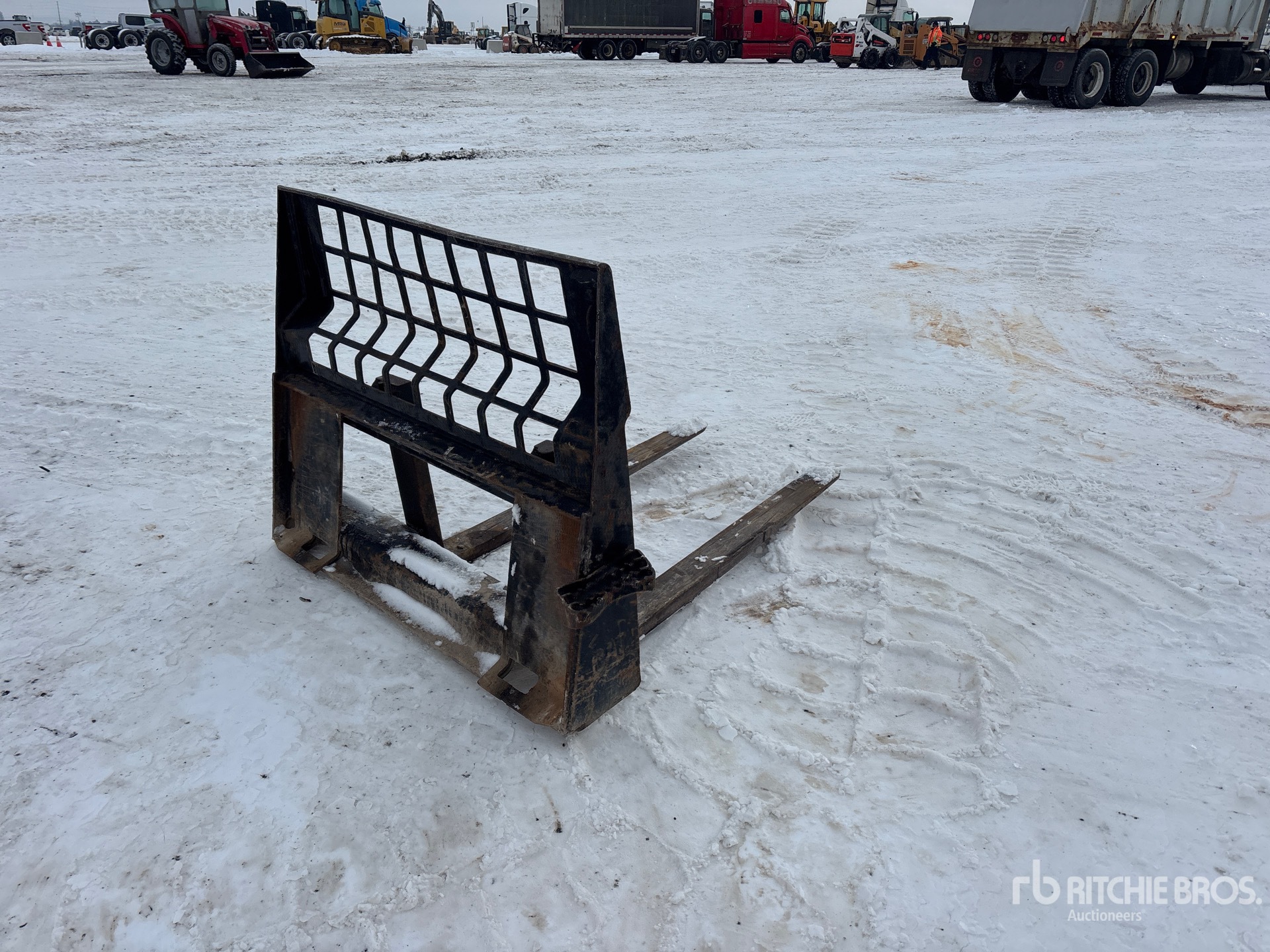 General Appearance with Zdjęcie, prawy dolny róg