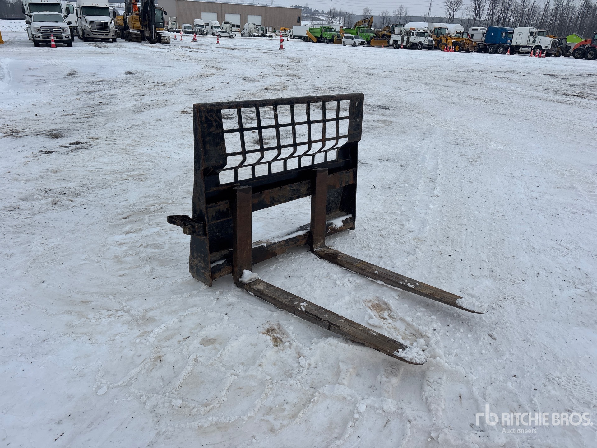 General Appearance with Zdjęcie, prawy górny róg