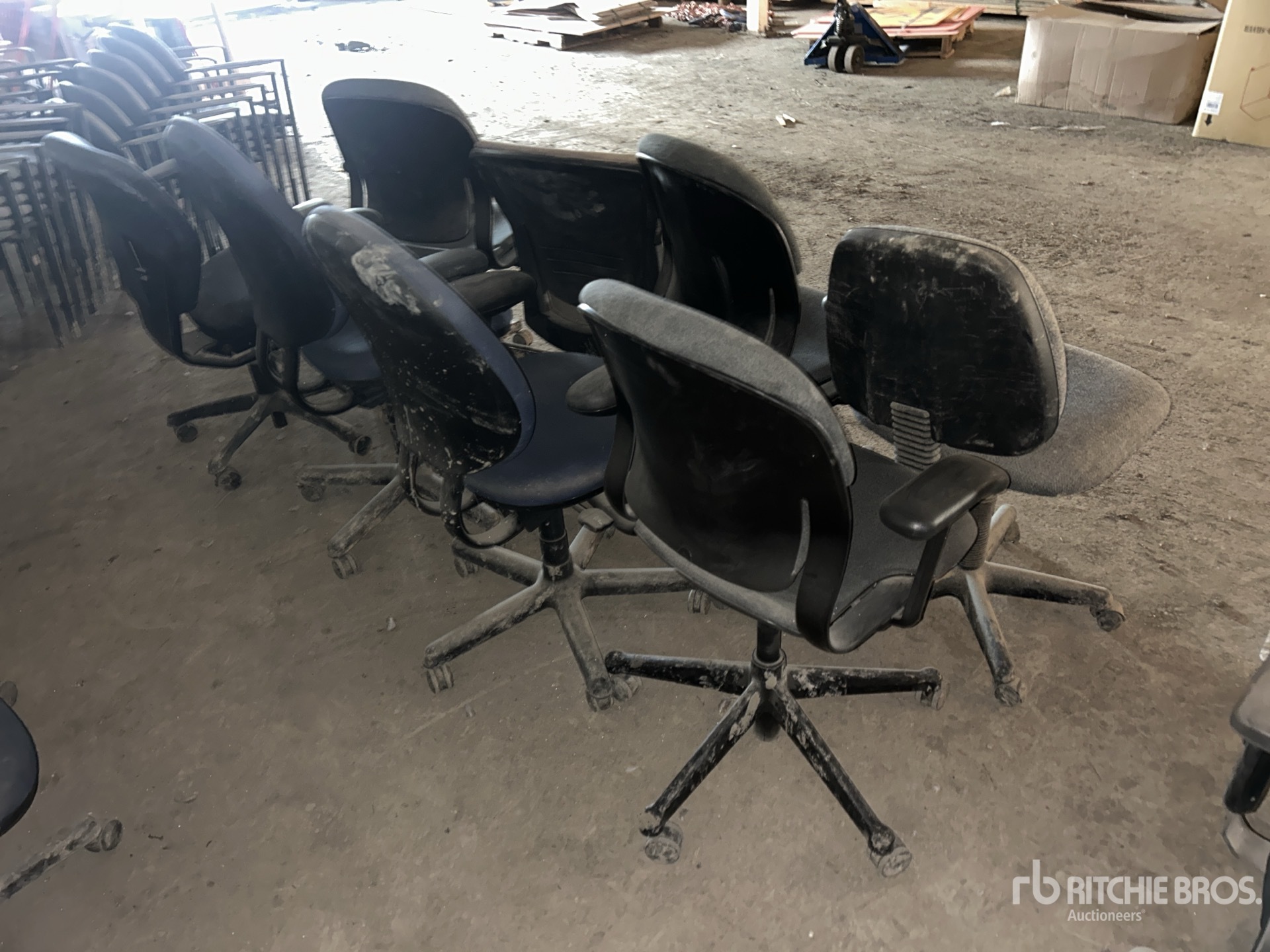 General Appearance with Zdjęcie, prawy dolny róg