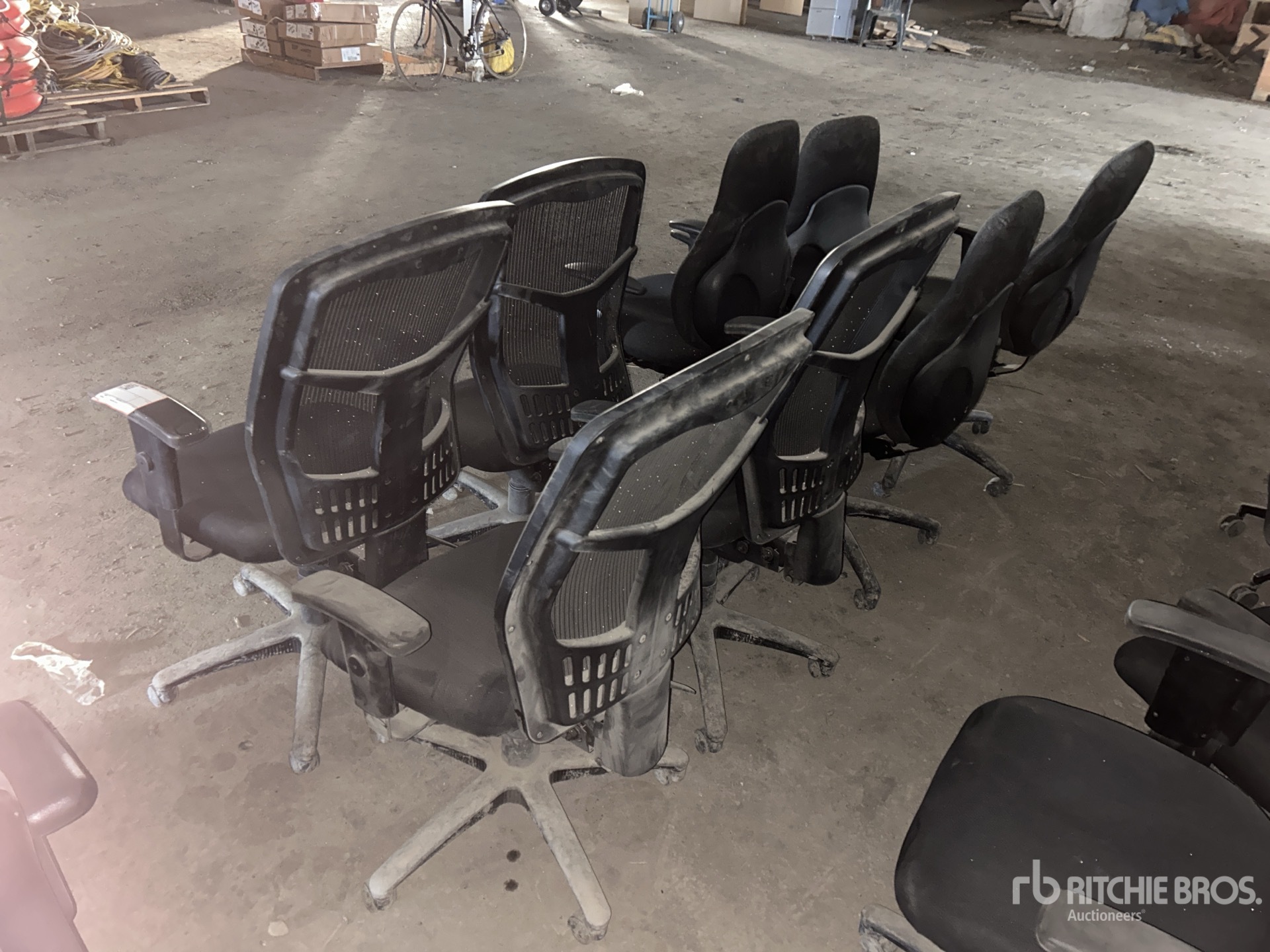 General Appearance with Zdjęcie, lewy dolny róg