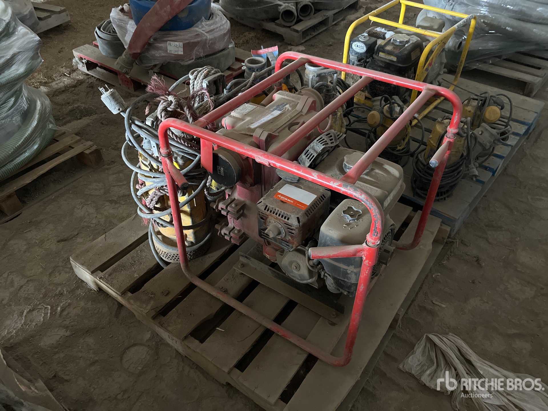 General Appearance with 