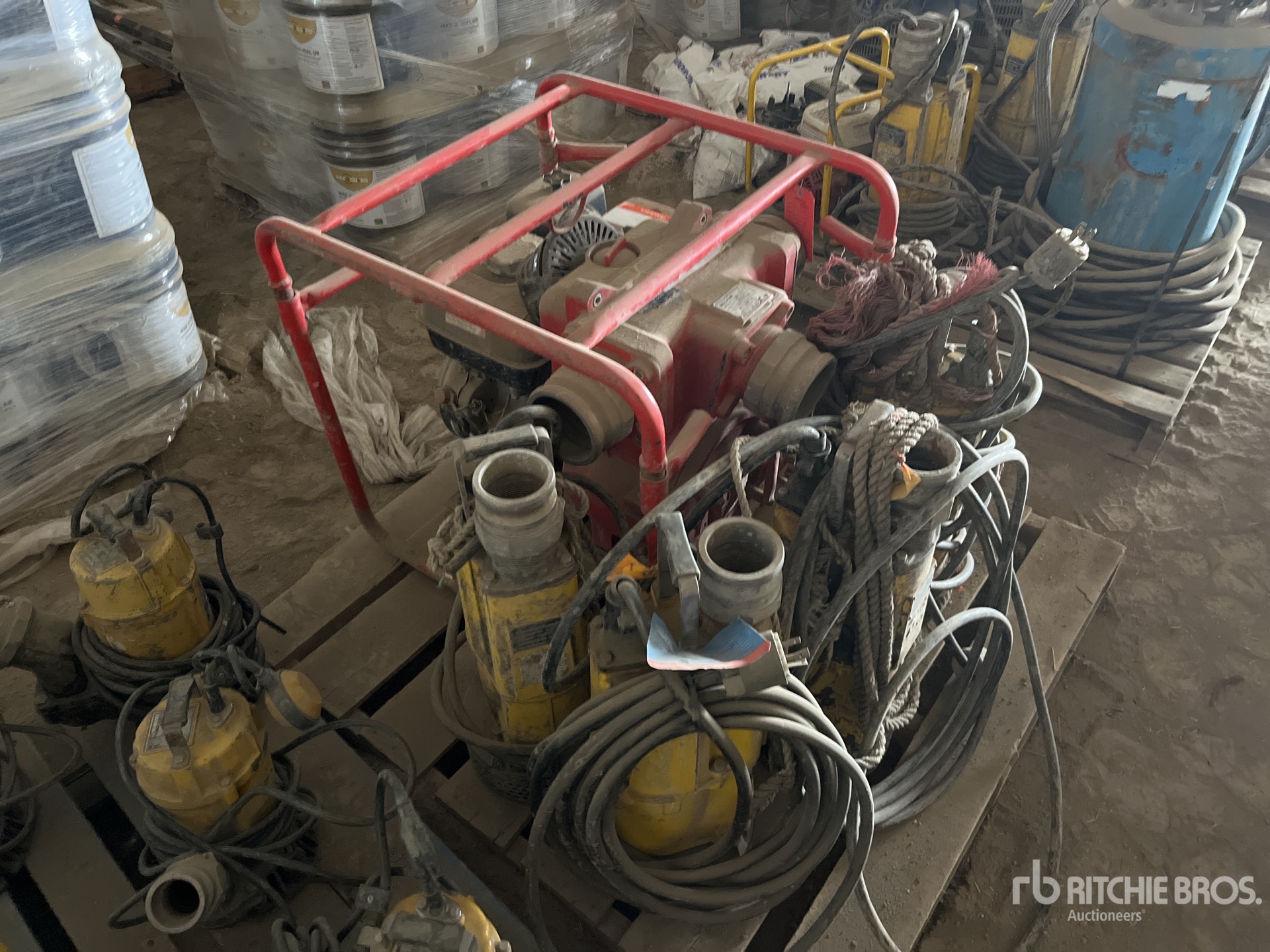 General Appearance with 