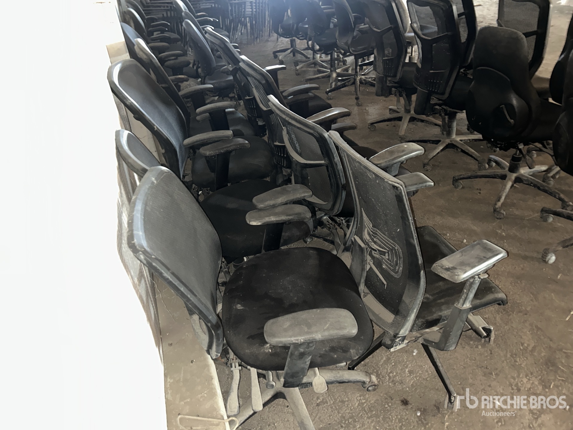 General Appearance with Zdjęcie, prawy dolny róg