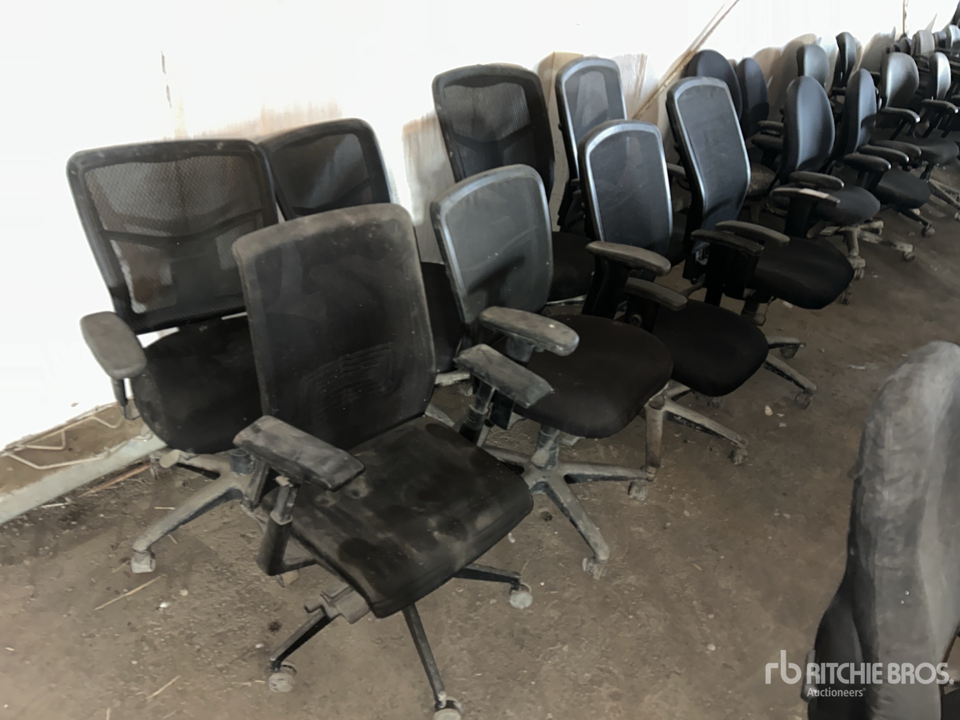 General Appearance with Zdjęcie, prawy górny róg