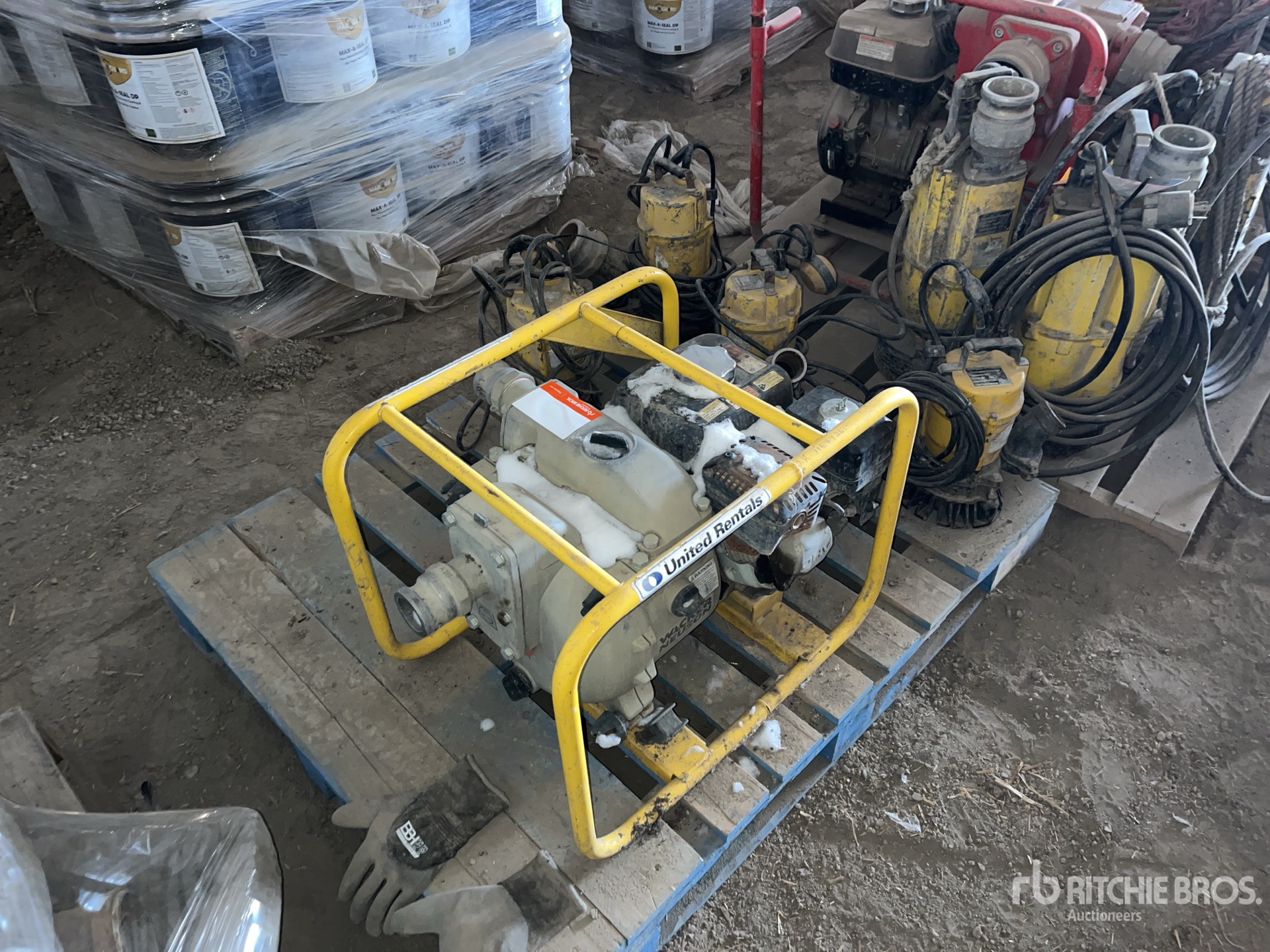 General Appearance with 