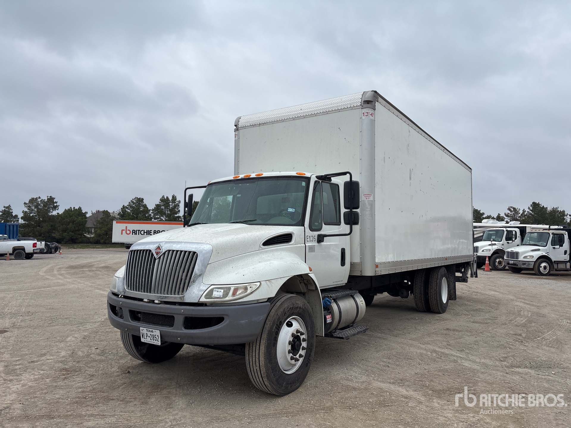 General Appearance with Spin