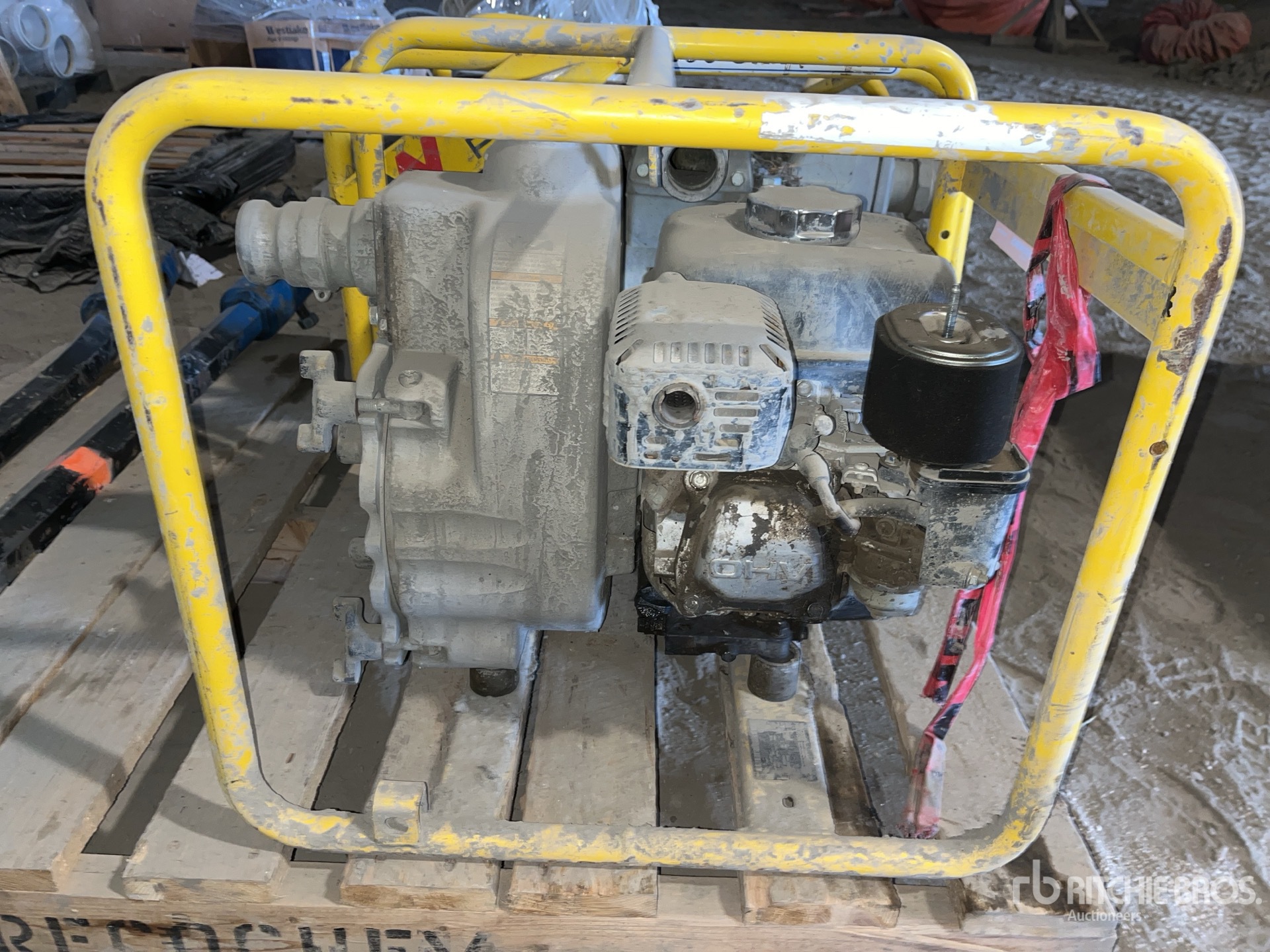 General Appearance with 