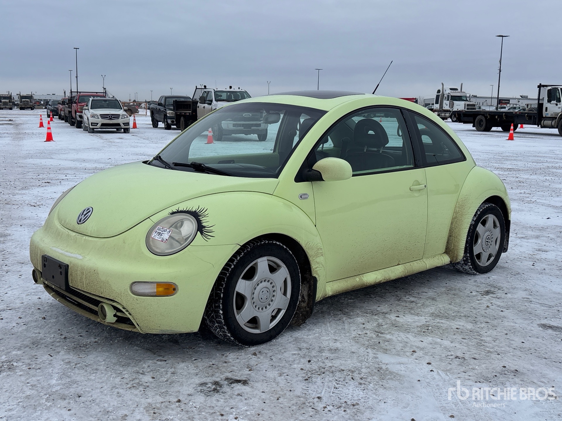 General Appearance with Spin