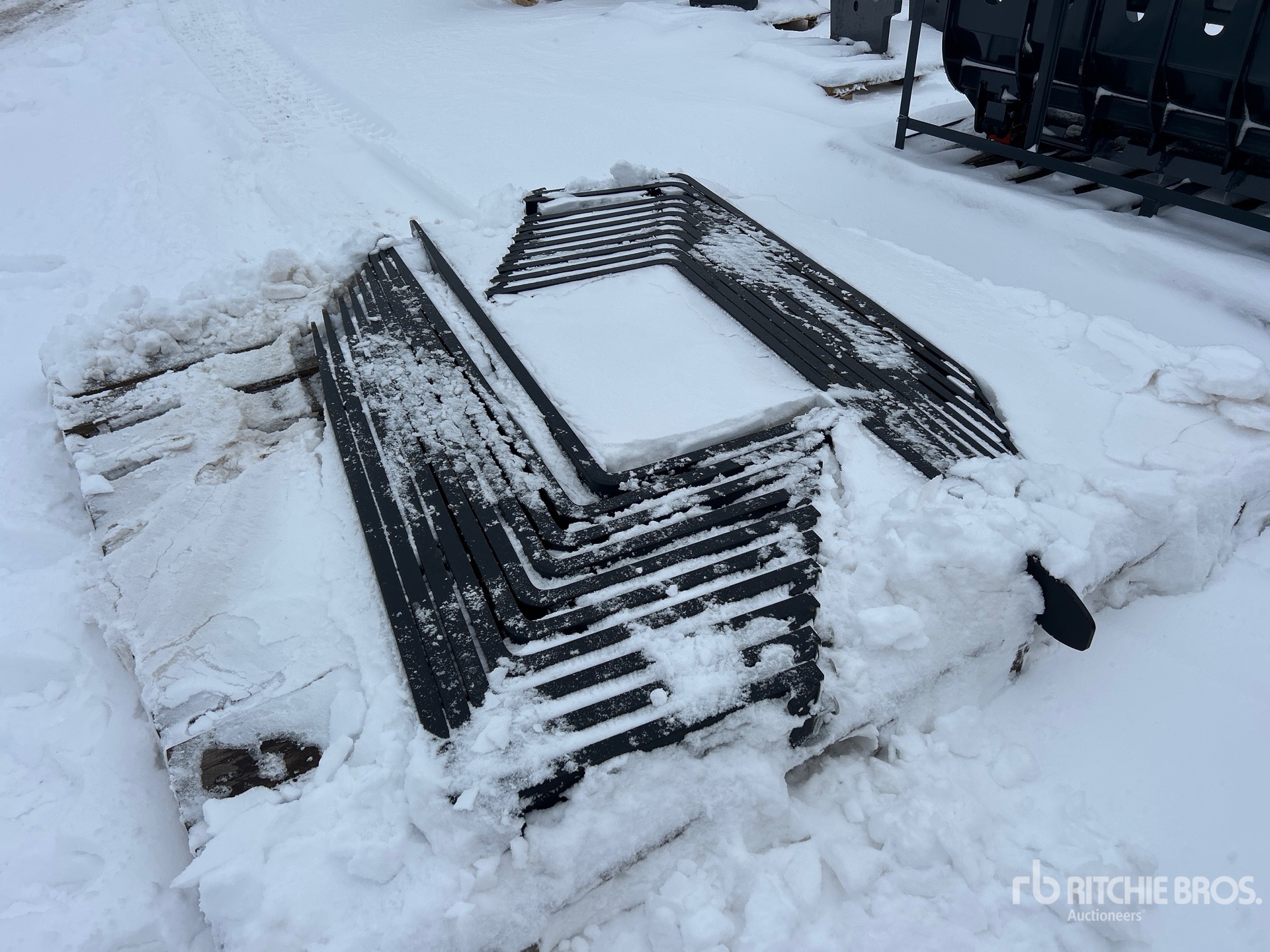 General Appearance with Zdjęcie, lewy dolny róg