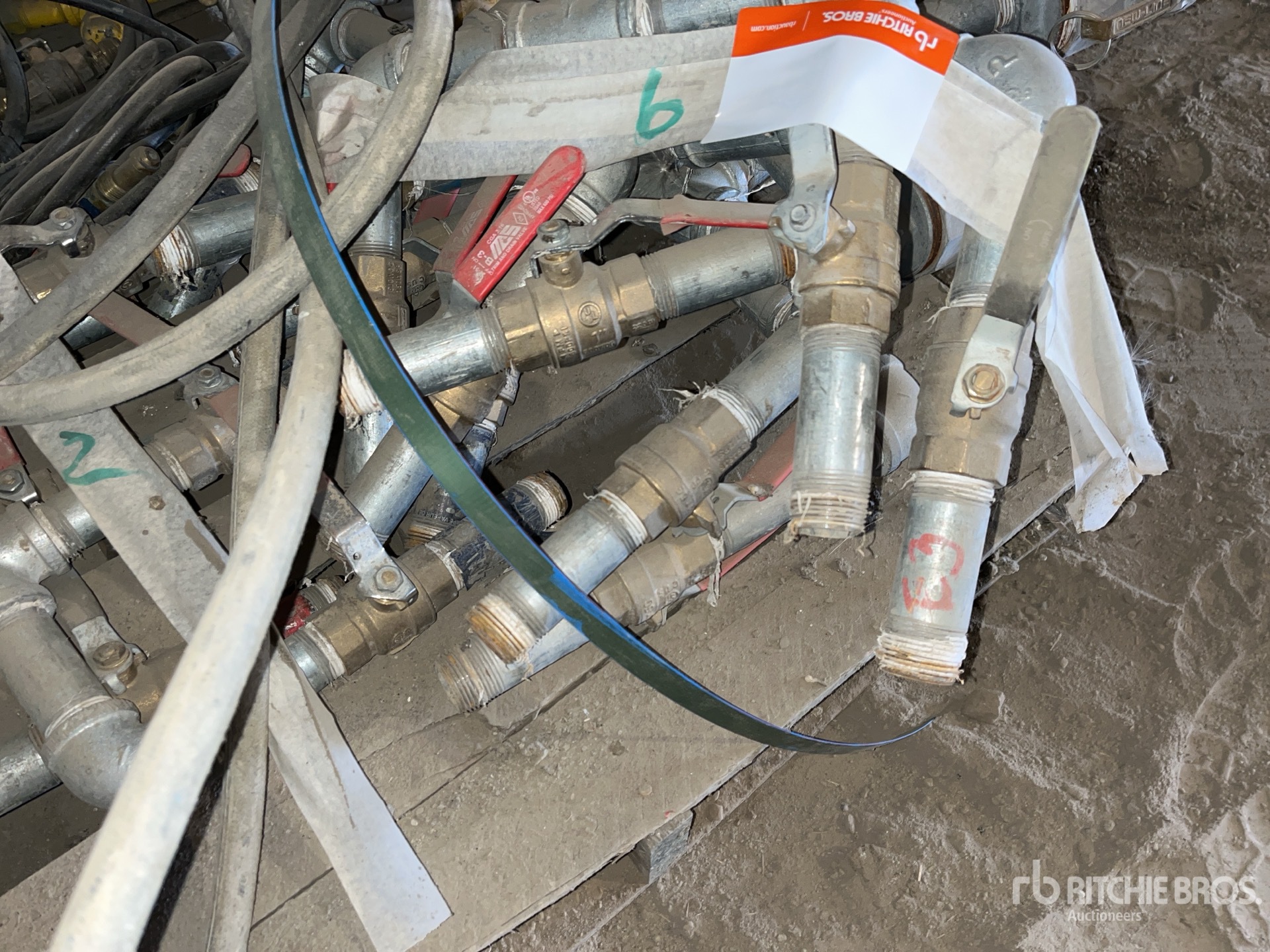 General Appearance with 