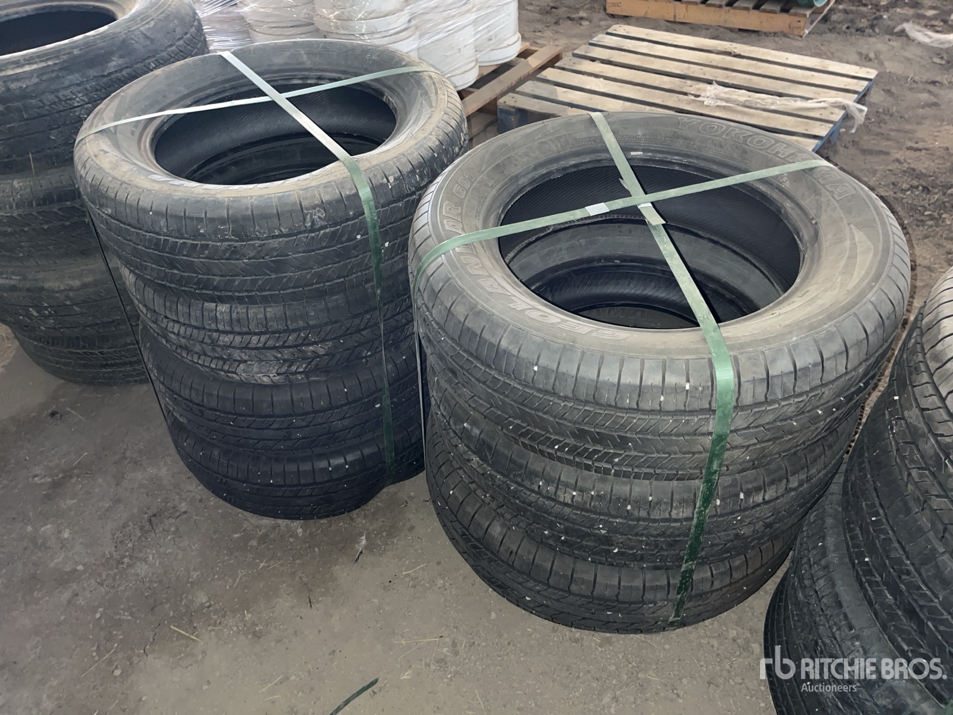 General Appearance with 