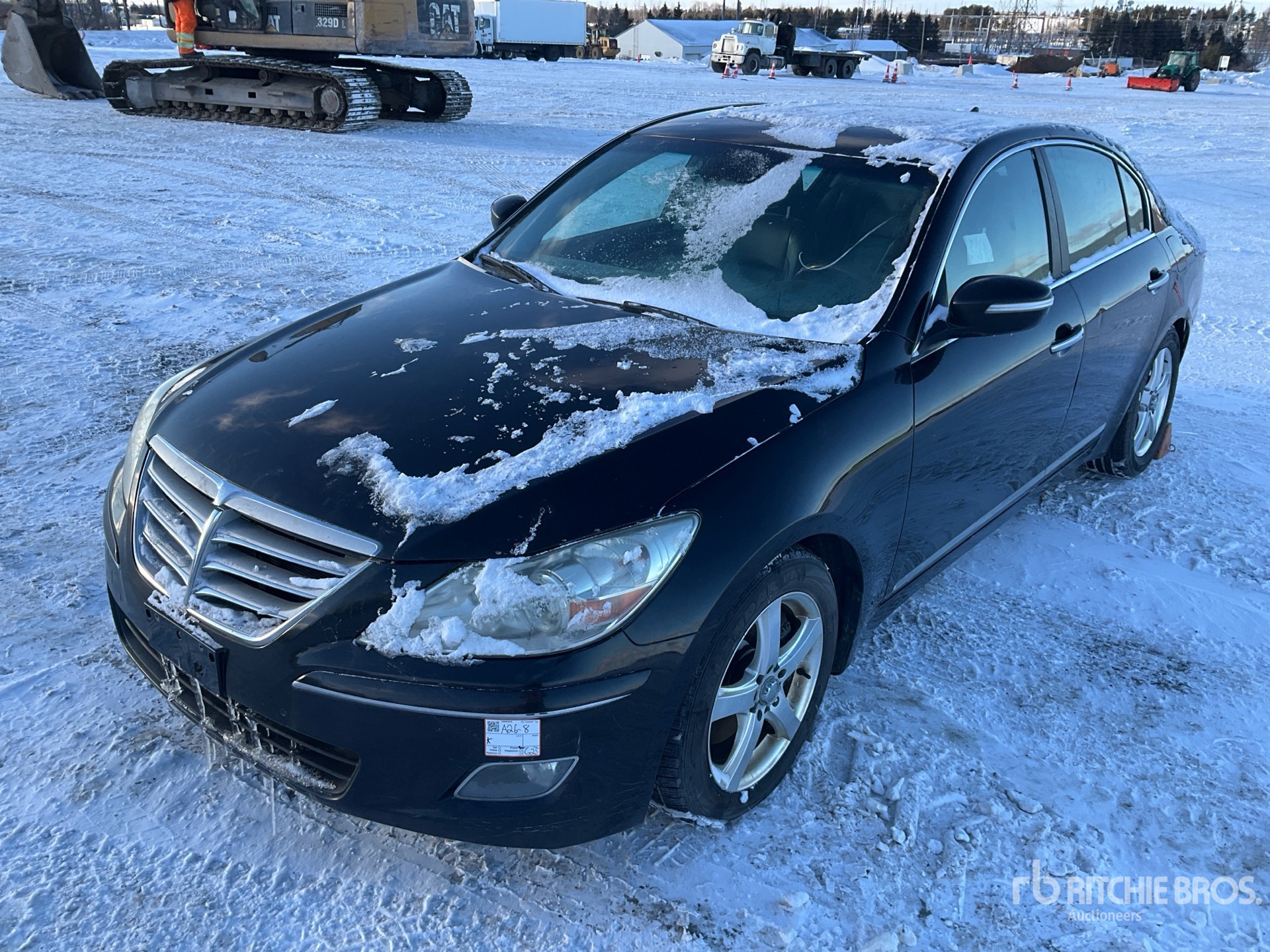 General Appearance with Spin