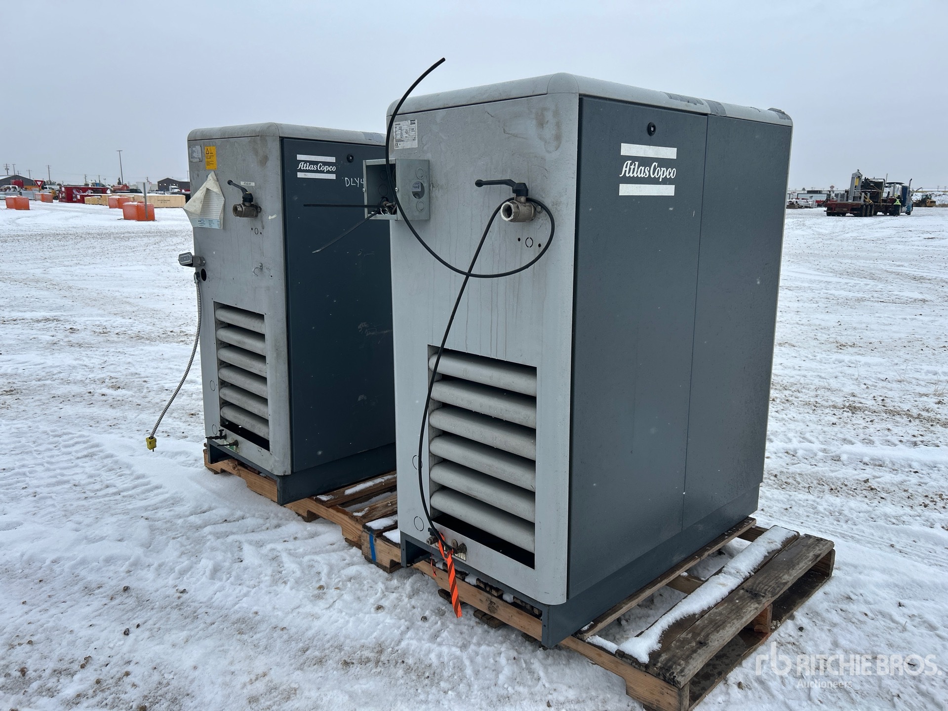 General Appearance with Zdjęcie, lewy dolny róg