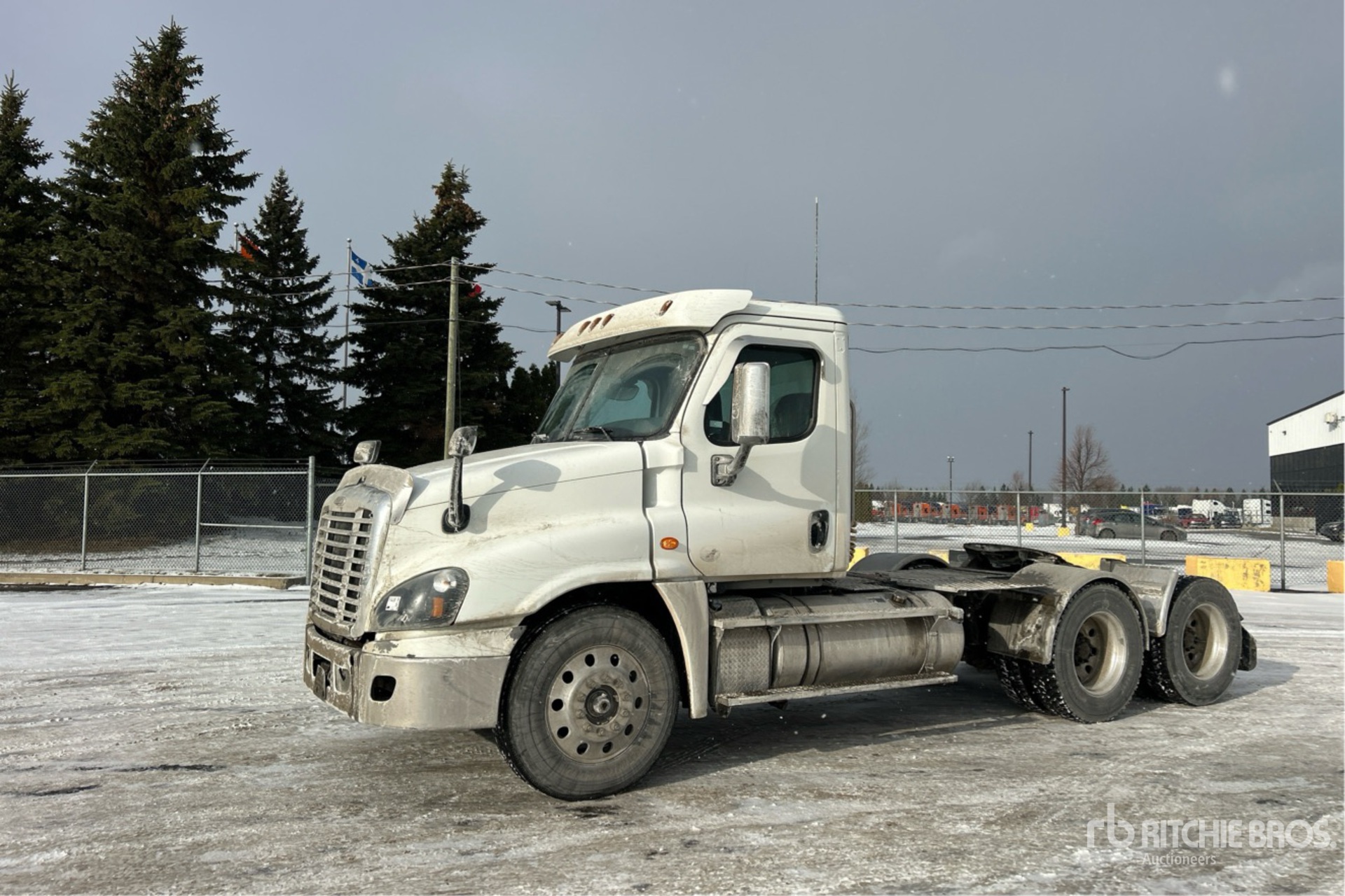 General Appearance with Spin