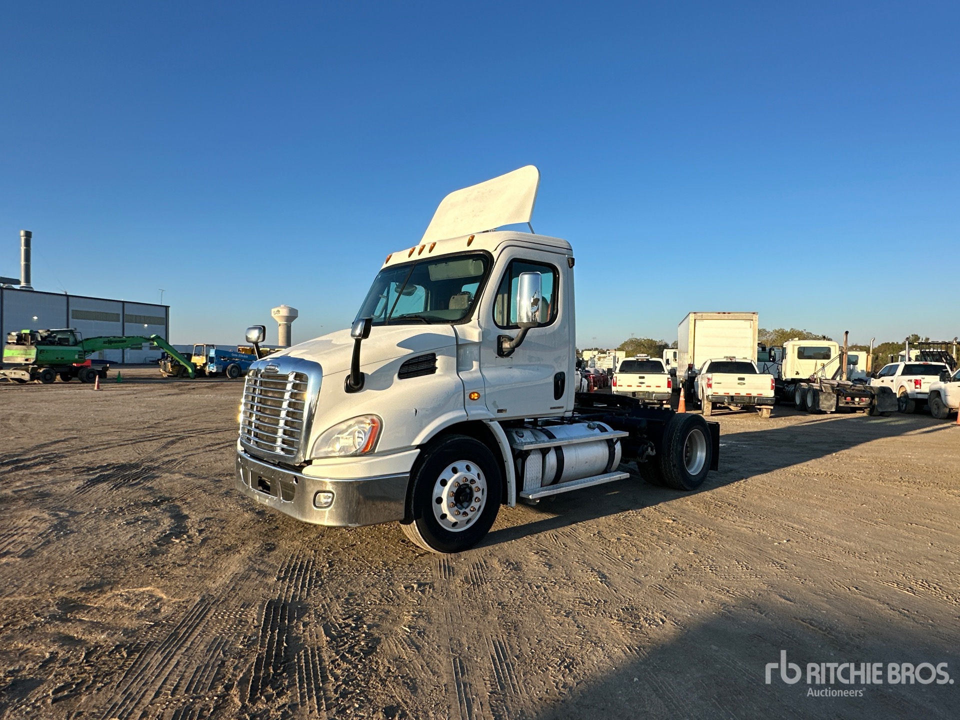 General Appearance with Spin