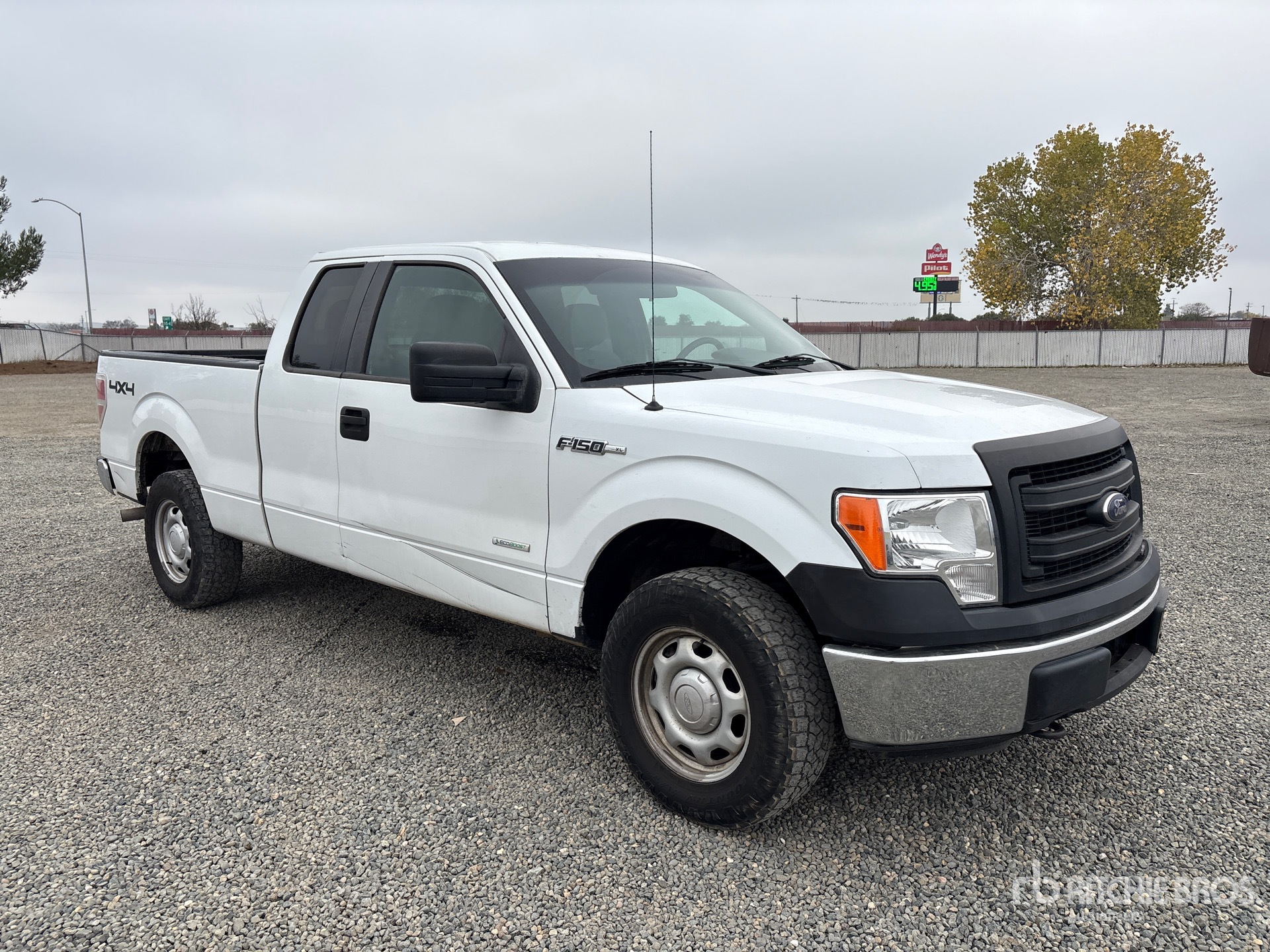 General Appearance with Picture, Right Front Corner